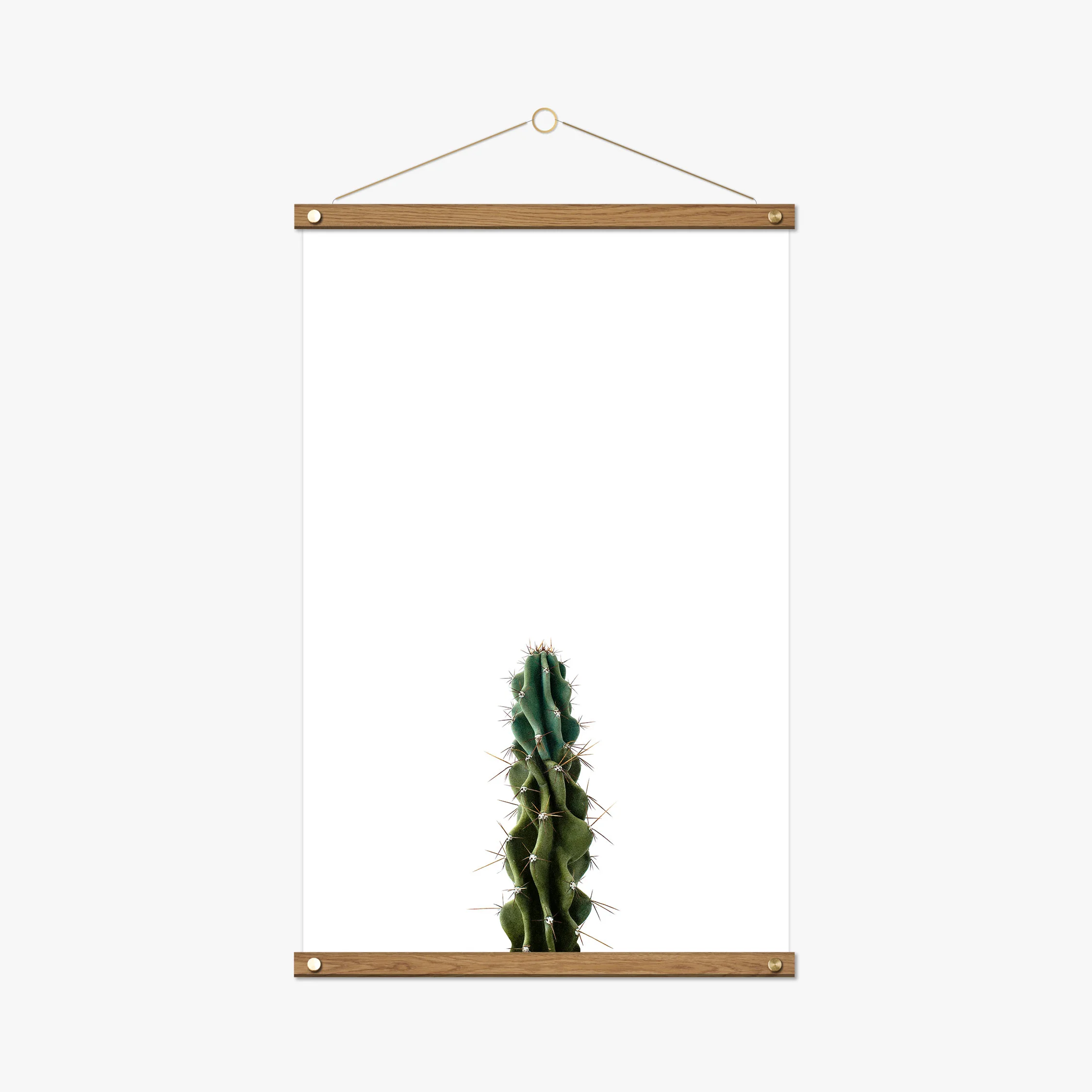 hanger-up1-modern.jpg