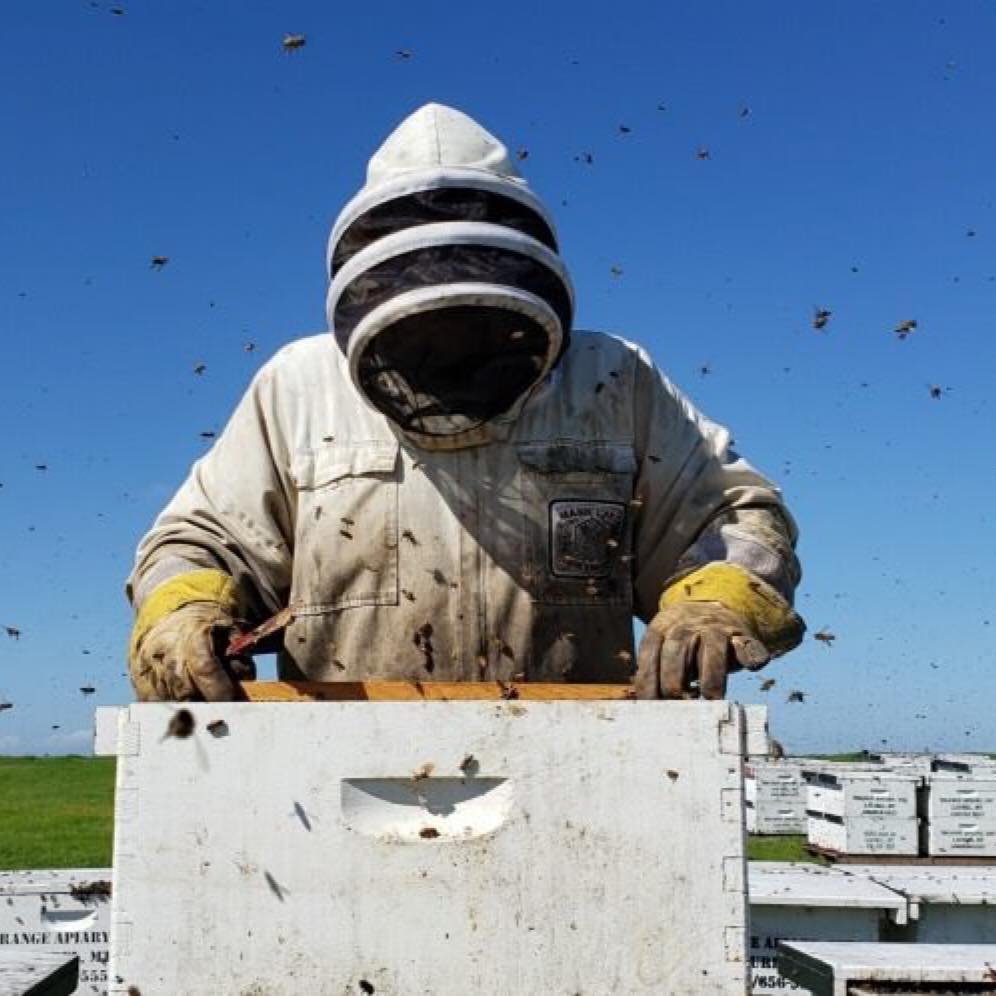 drange-apiary-beekeeper.jpg