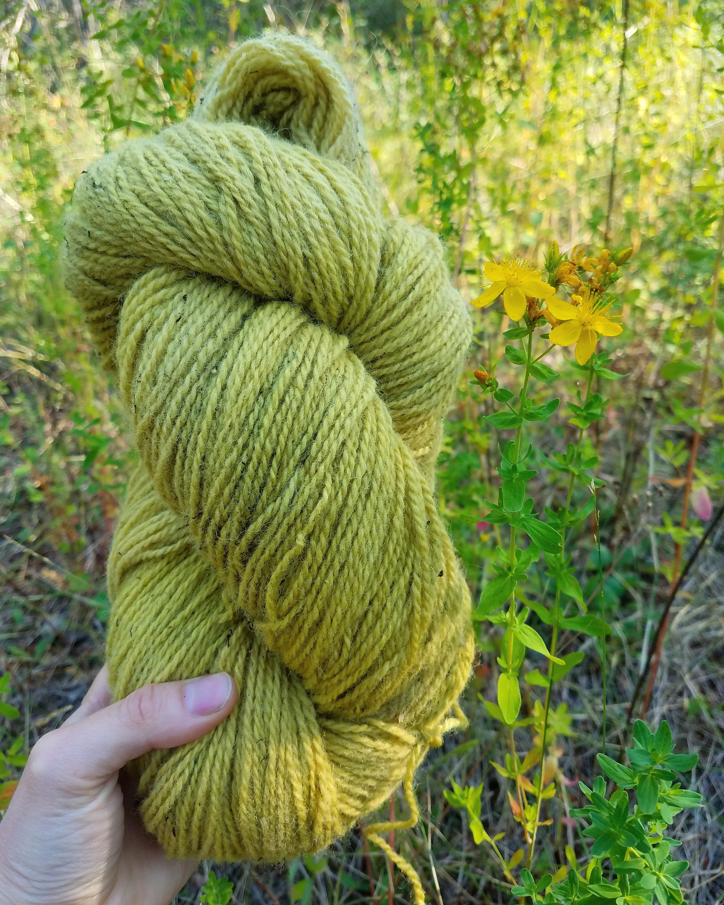 johns-wort-goldenrod-yarn (1).jpg