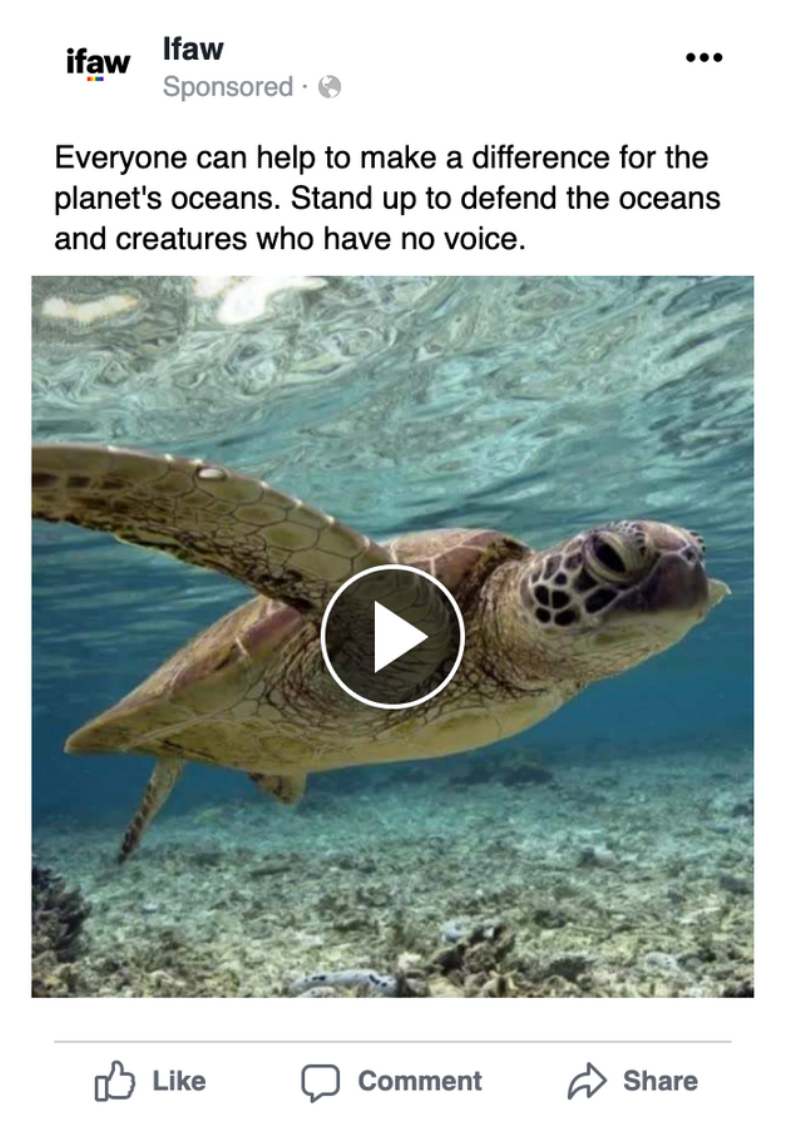IFAW_Turtle_Advertisement_Sample