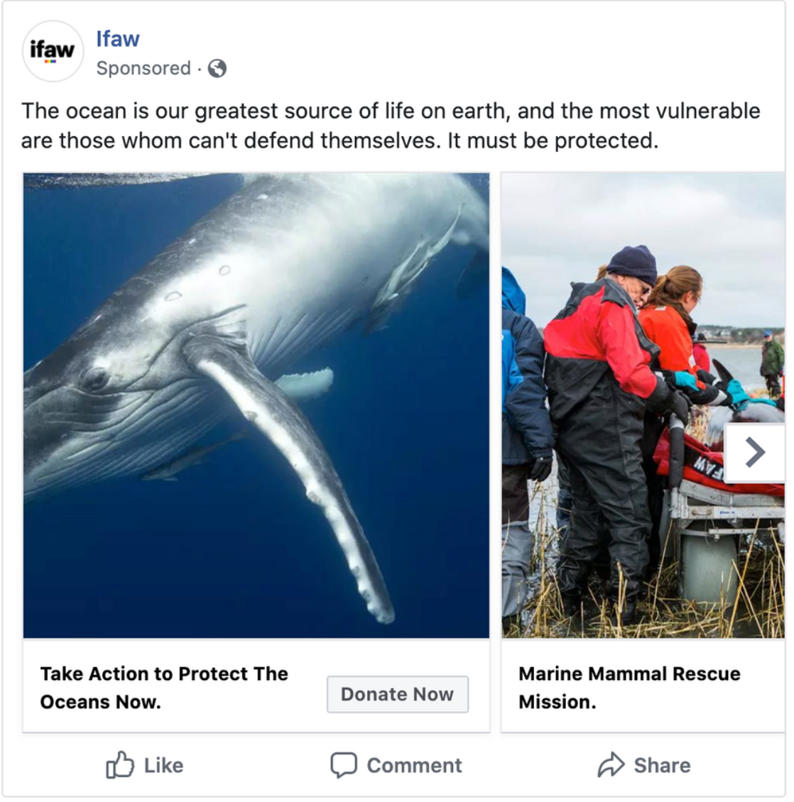 IFAW_Dolphin_Advertisement_Sample