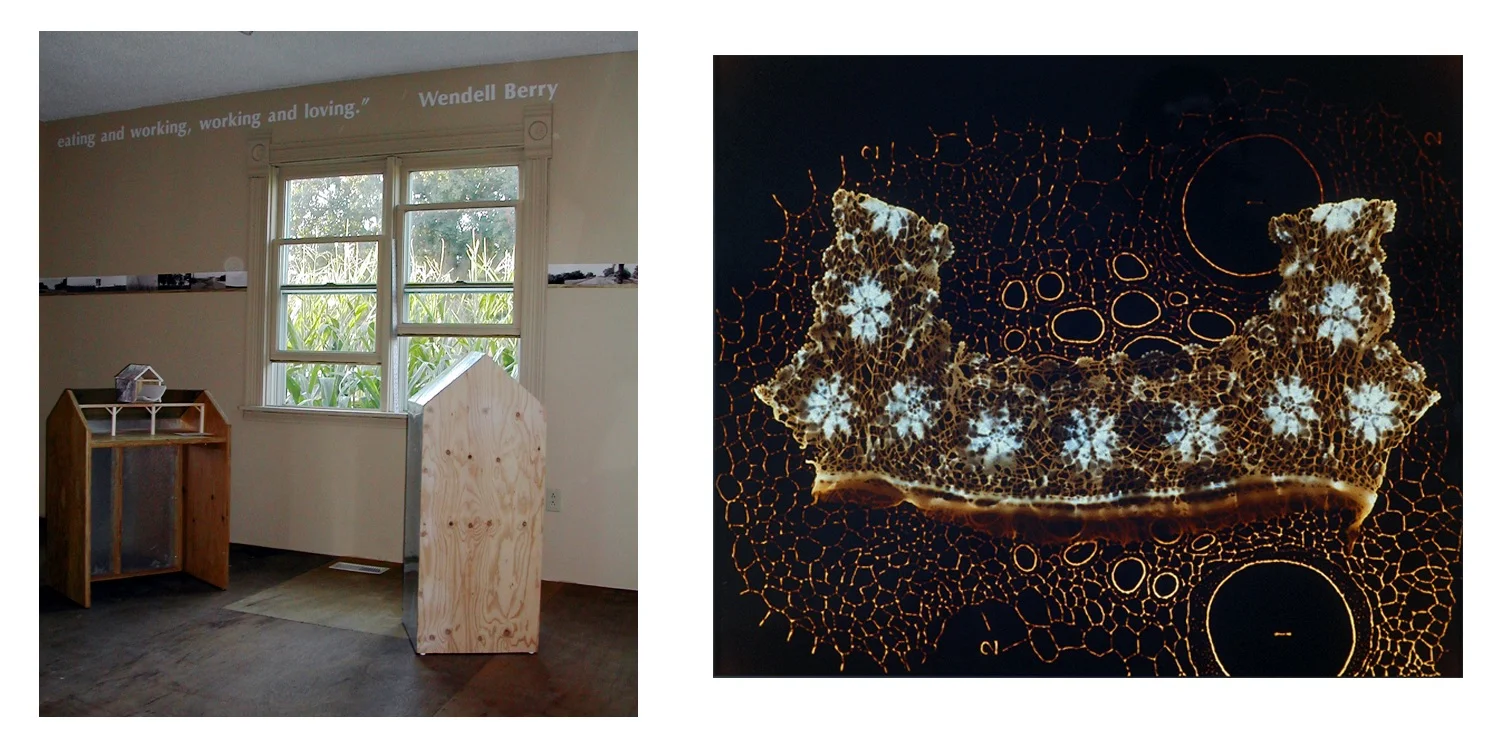 SEED/HOUSE Installation views (Photogram)