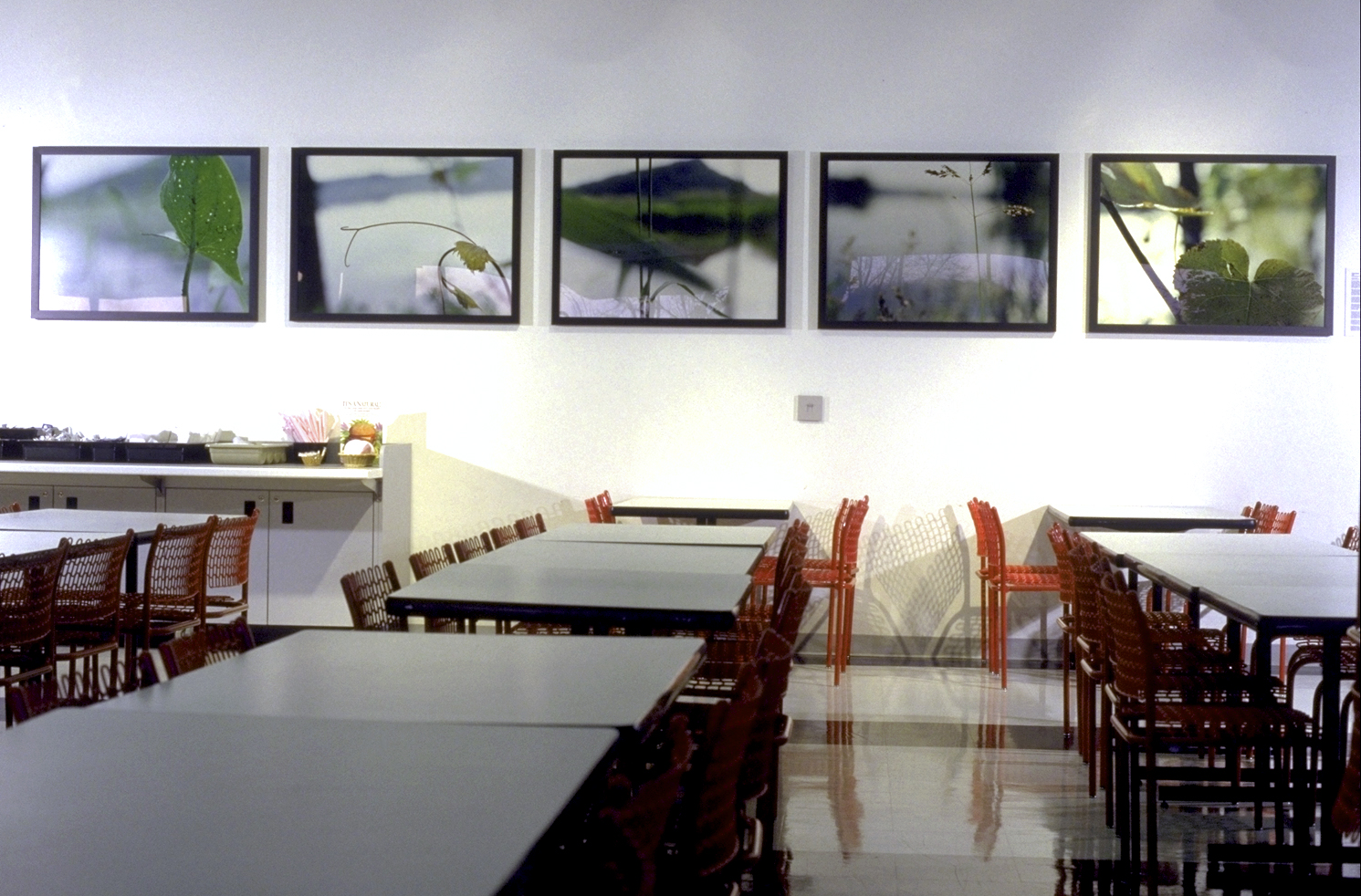 Anoka Ramsey Community College, Coon Rapids MN Percent for Art in Public Places, Minnesota State Arts Board