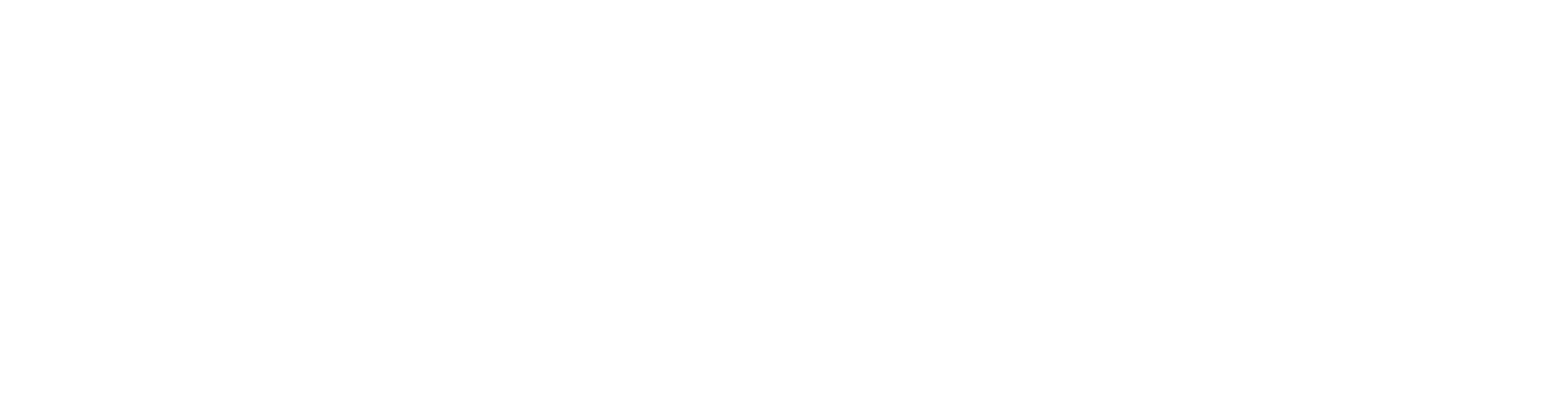 Feilding Automotive logo_white main.png