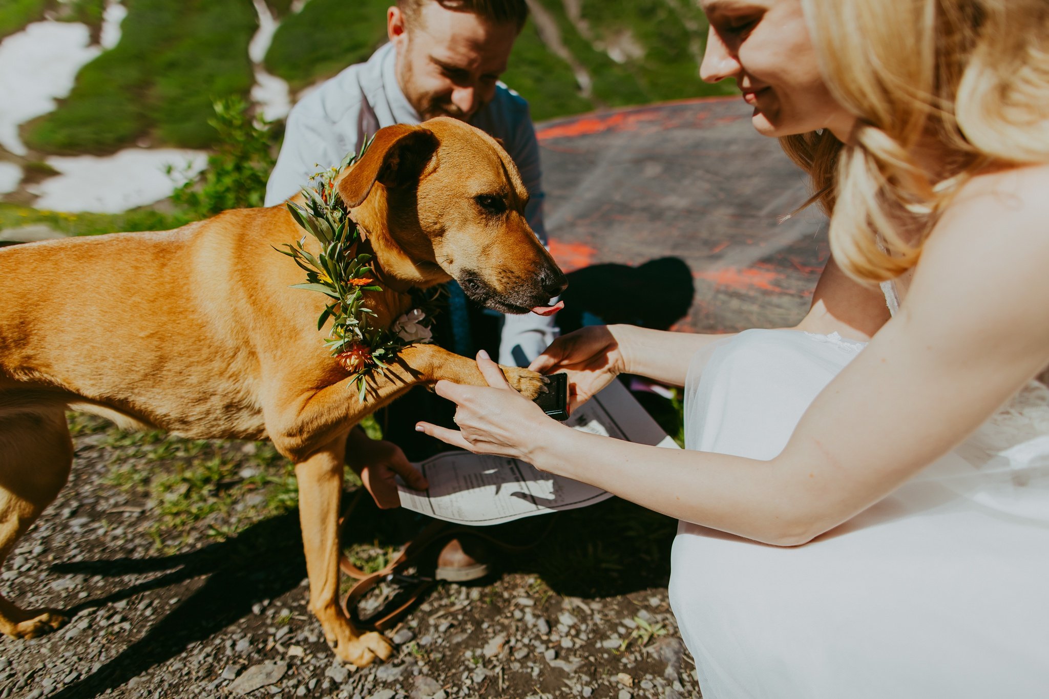Crested Butte, Colorado Dog Signing Marriage License