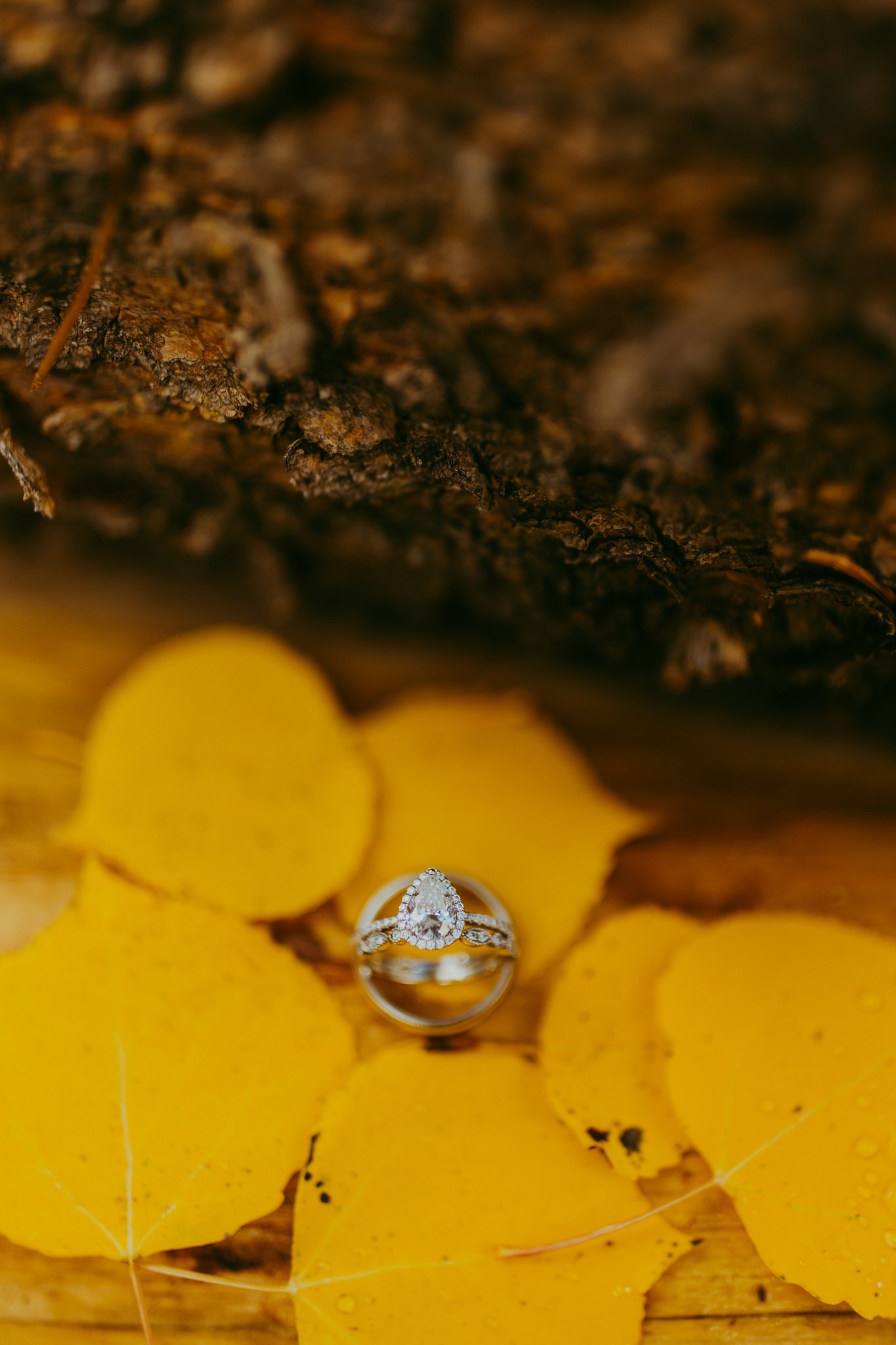 Breckenridge, Colorado Fall Elopement