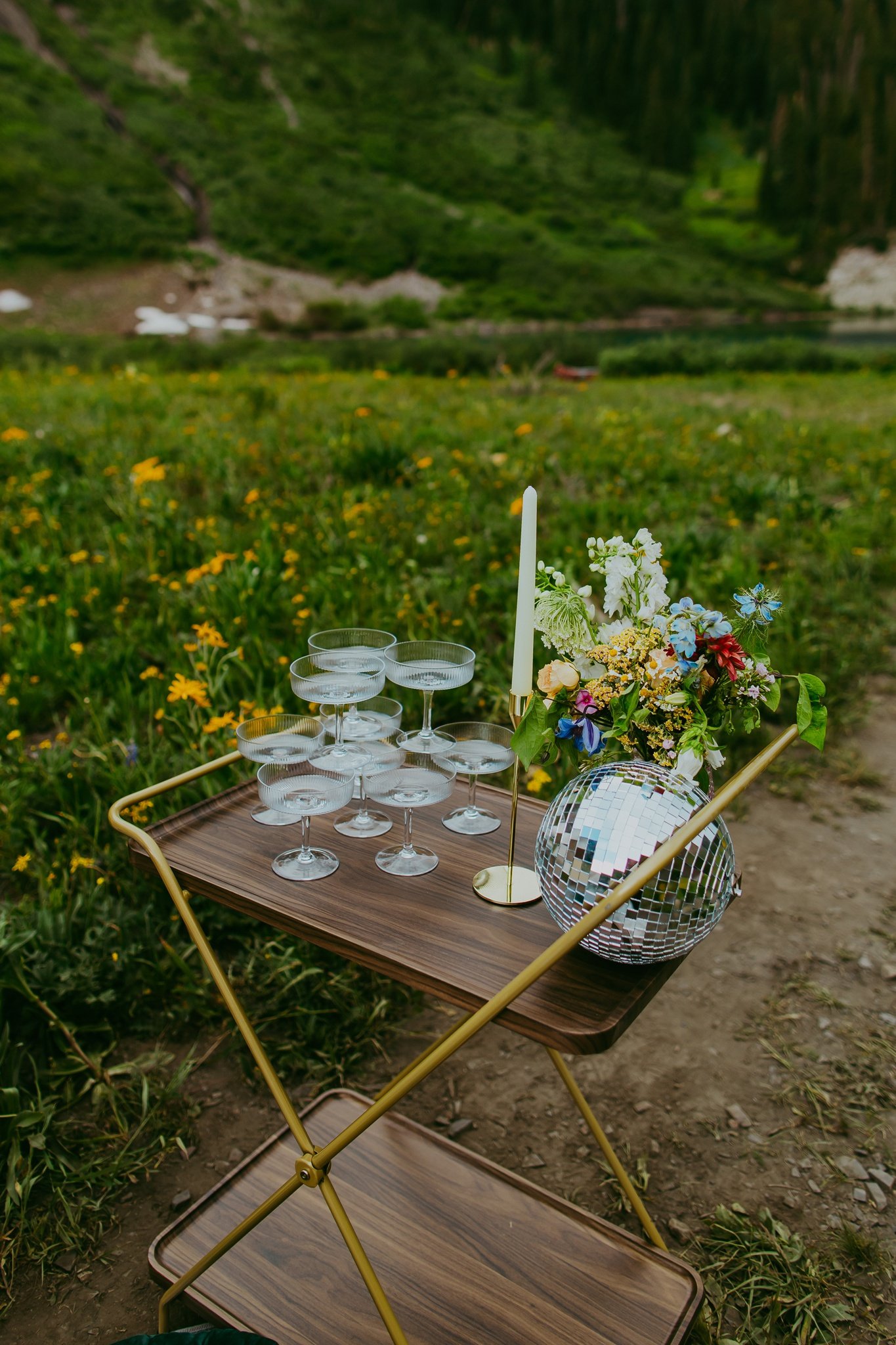 Crested Butte Colorado Summer Wildflower Elopement