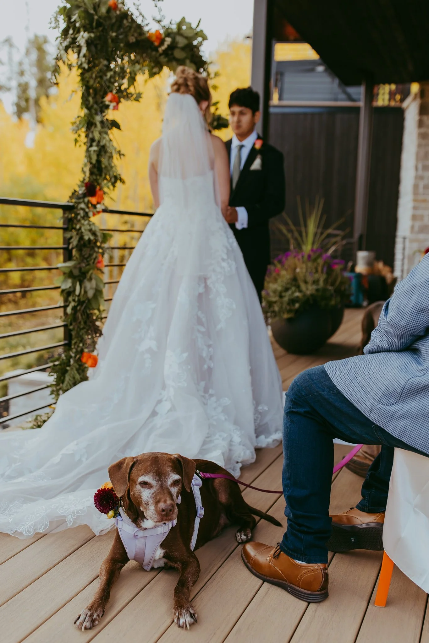 Fall Elopement in an Aspen Grove in Winter Park, Colorado
