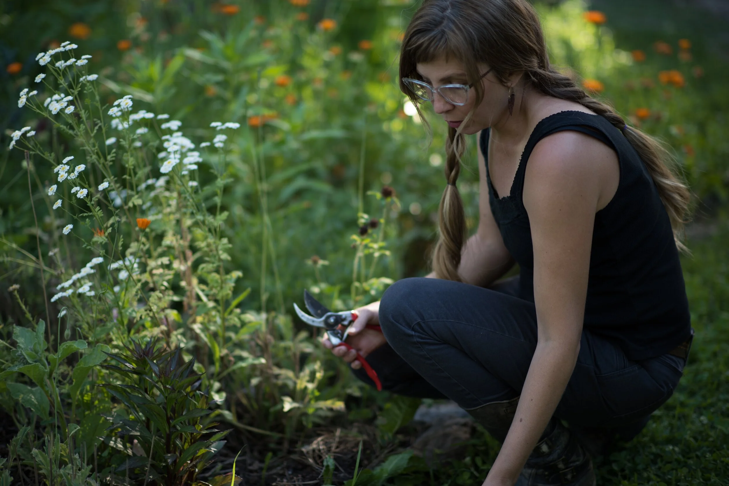 Gardening As Language For The World Soul