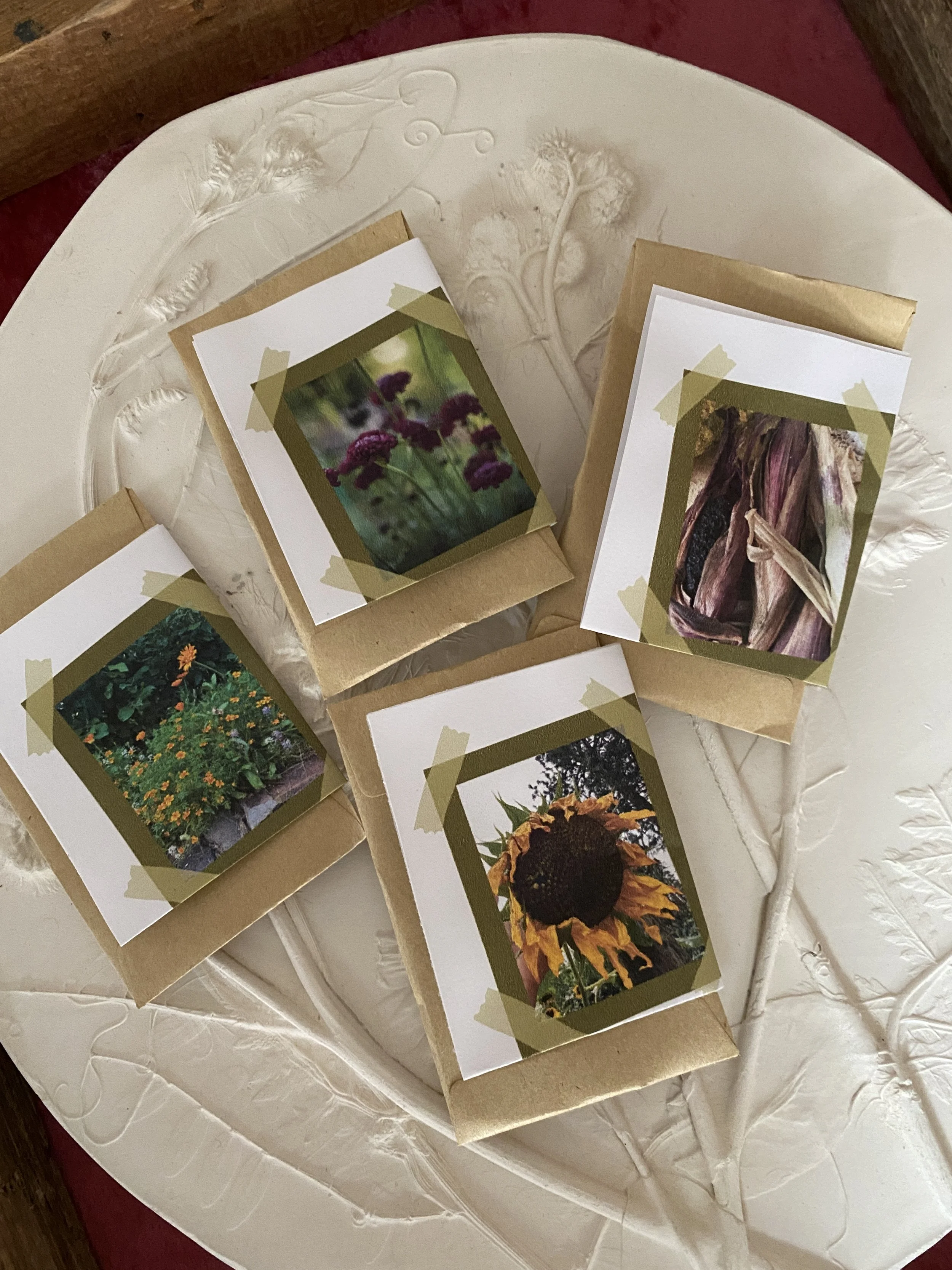 Dyer's Garden Booster Pack Seed Collection