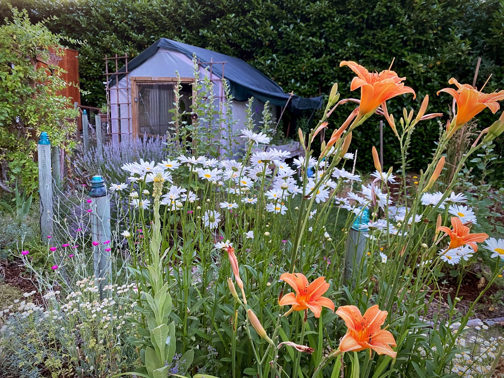 garden-design-examples-gardenshed.jpg