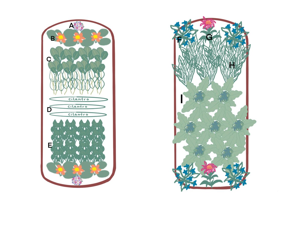 sunny-lindley-garden-design-example11.jpg