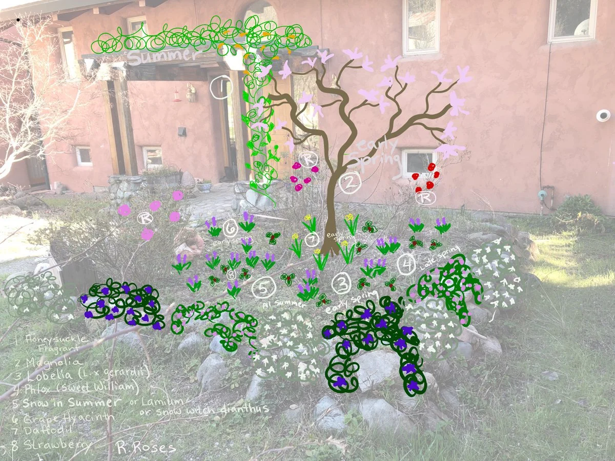 sunny-lindley-garden-design-example6.jpg