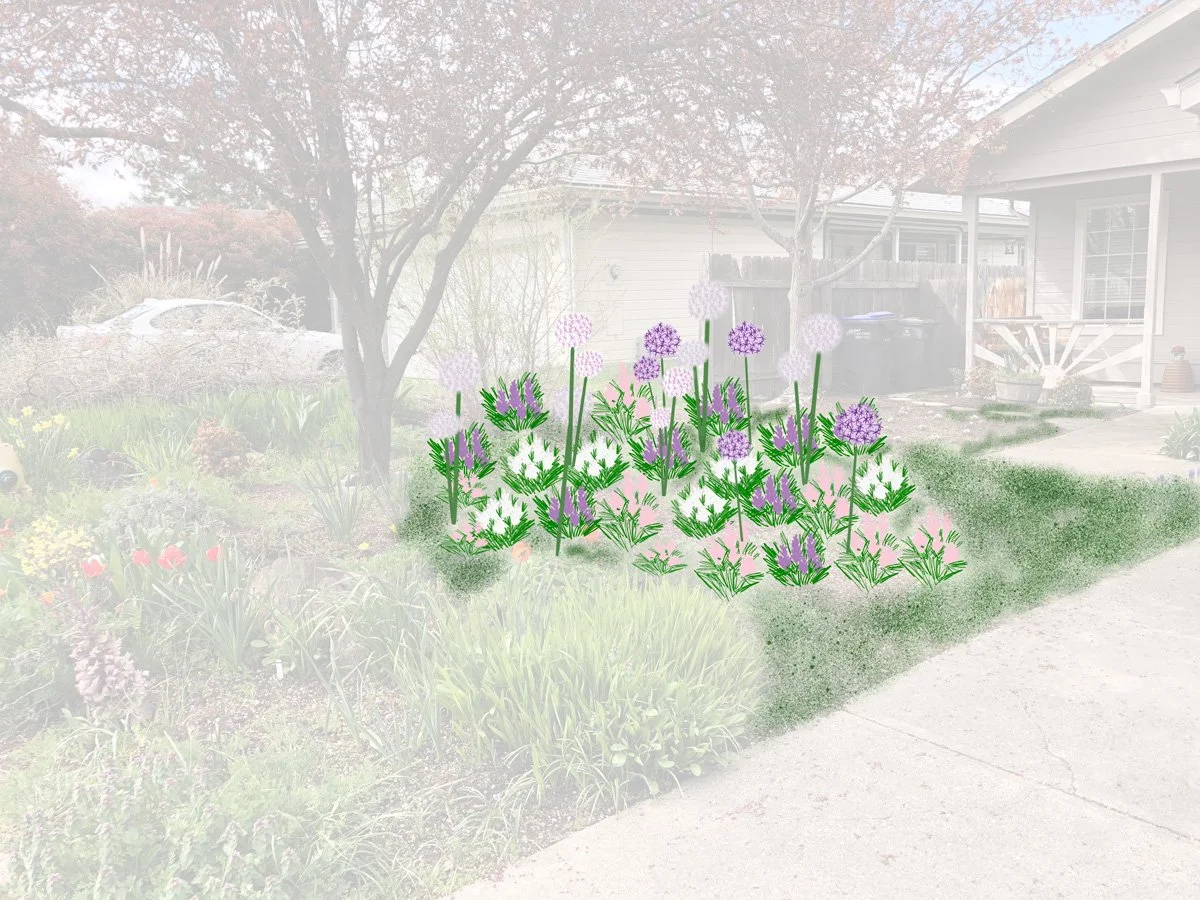 sunny-lindley-garden-design-example3.jpg