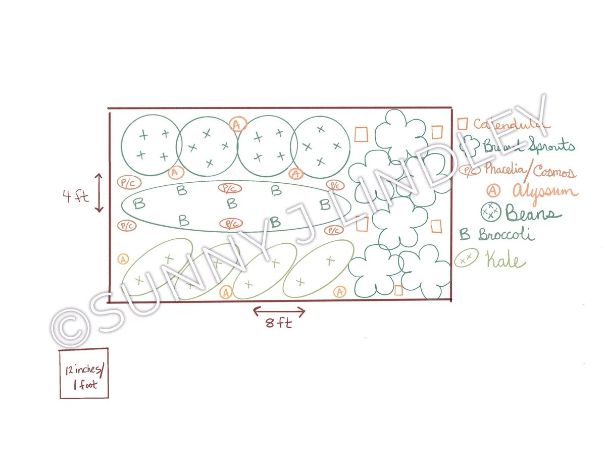 sunny-lindley-garden-design-example13.jpg
