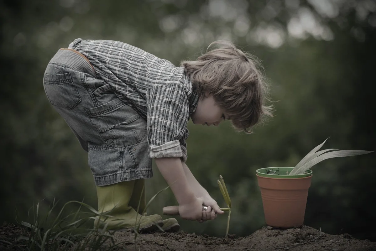 Trusting Adaptation: The Human Ecology of Technology