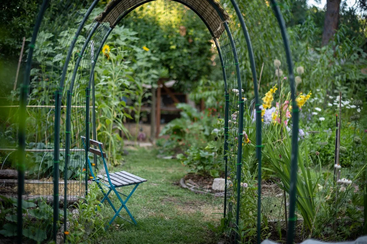connections-through-gardening-sunnyjlindley.jpg