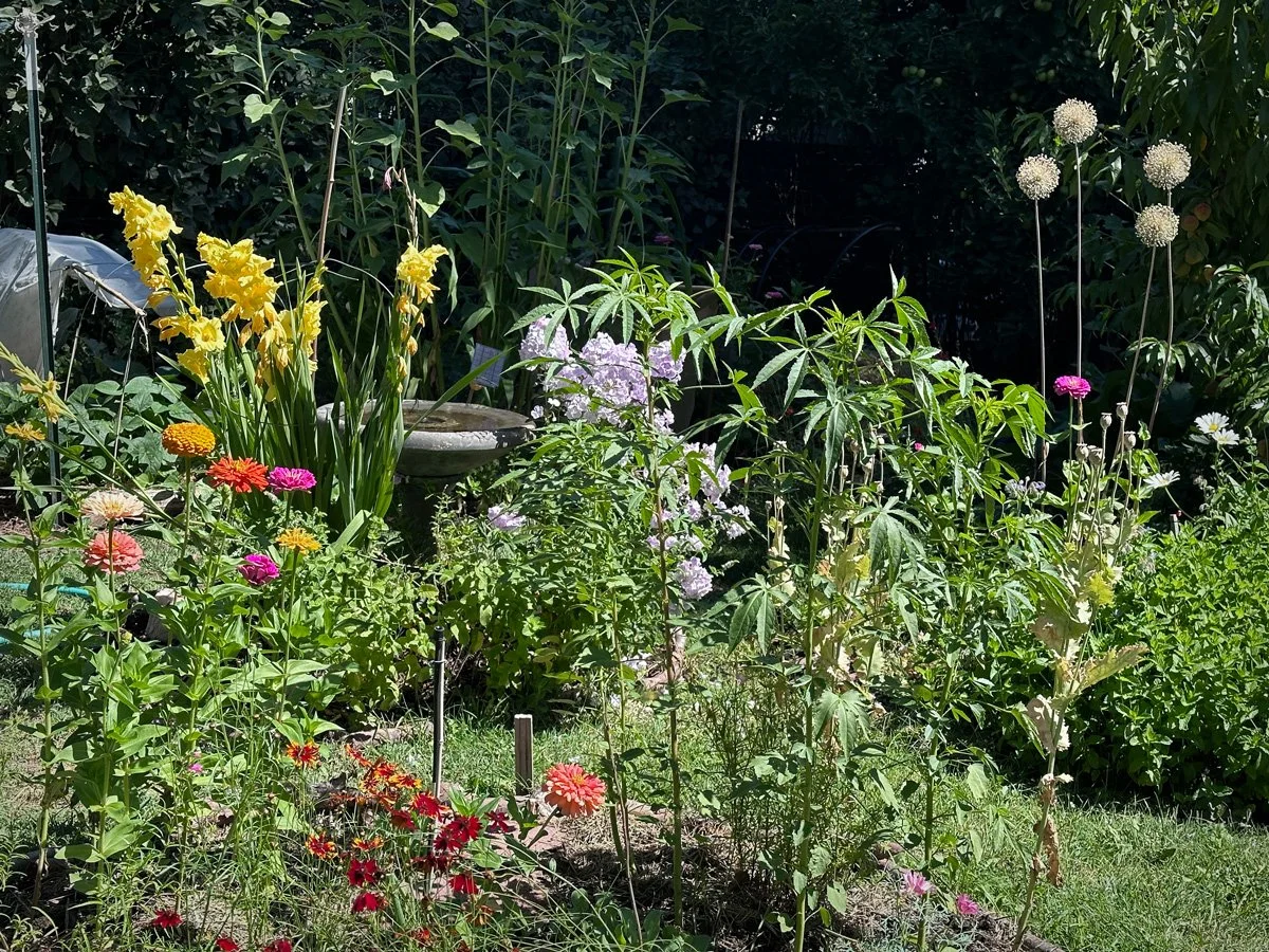 garden-paradise-sunnyjlindley.jpg