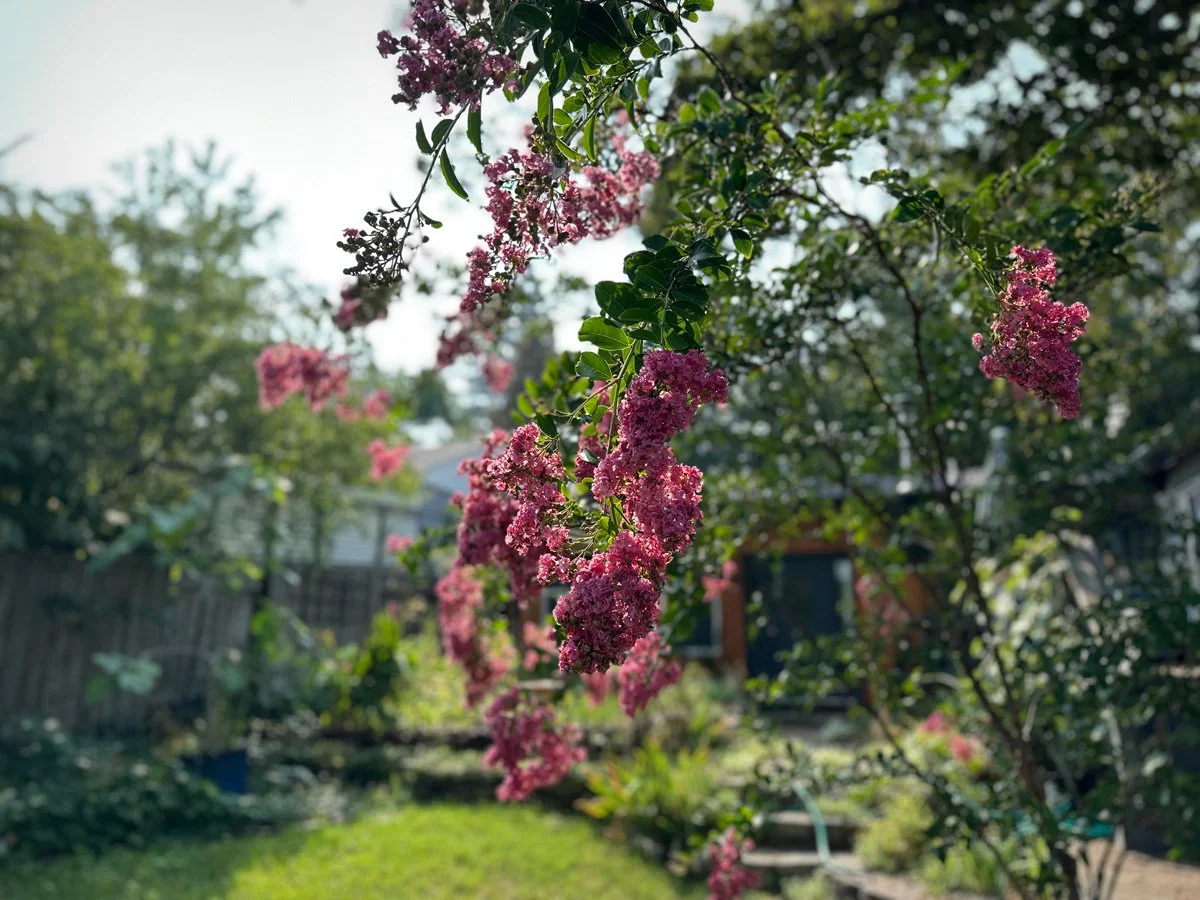 growing-beautiful-gardens-sunnyjlindley.jpg