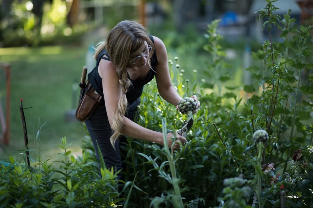 tending-gardens-sunnyjlindley.jpg