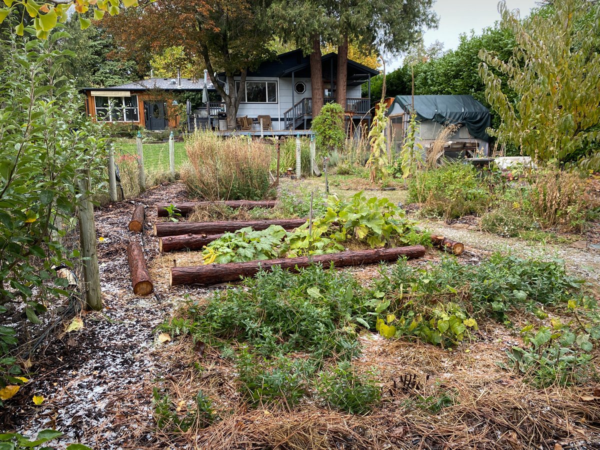 backyard-urban-farming-sunnyjlindley.jpg