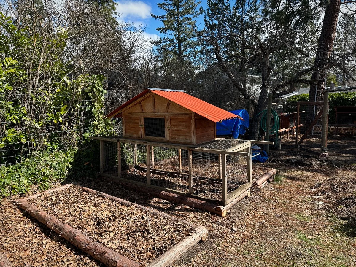 grow-food-chickens-sunnyjlindley.jpg