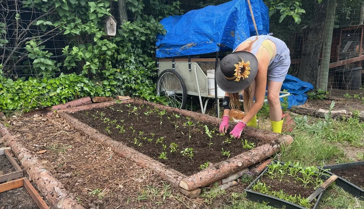 how-to-start-a-vegetable-garden-sunnyjlindley.jpg
