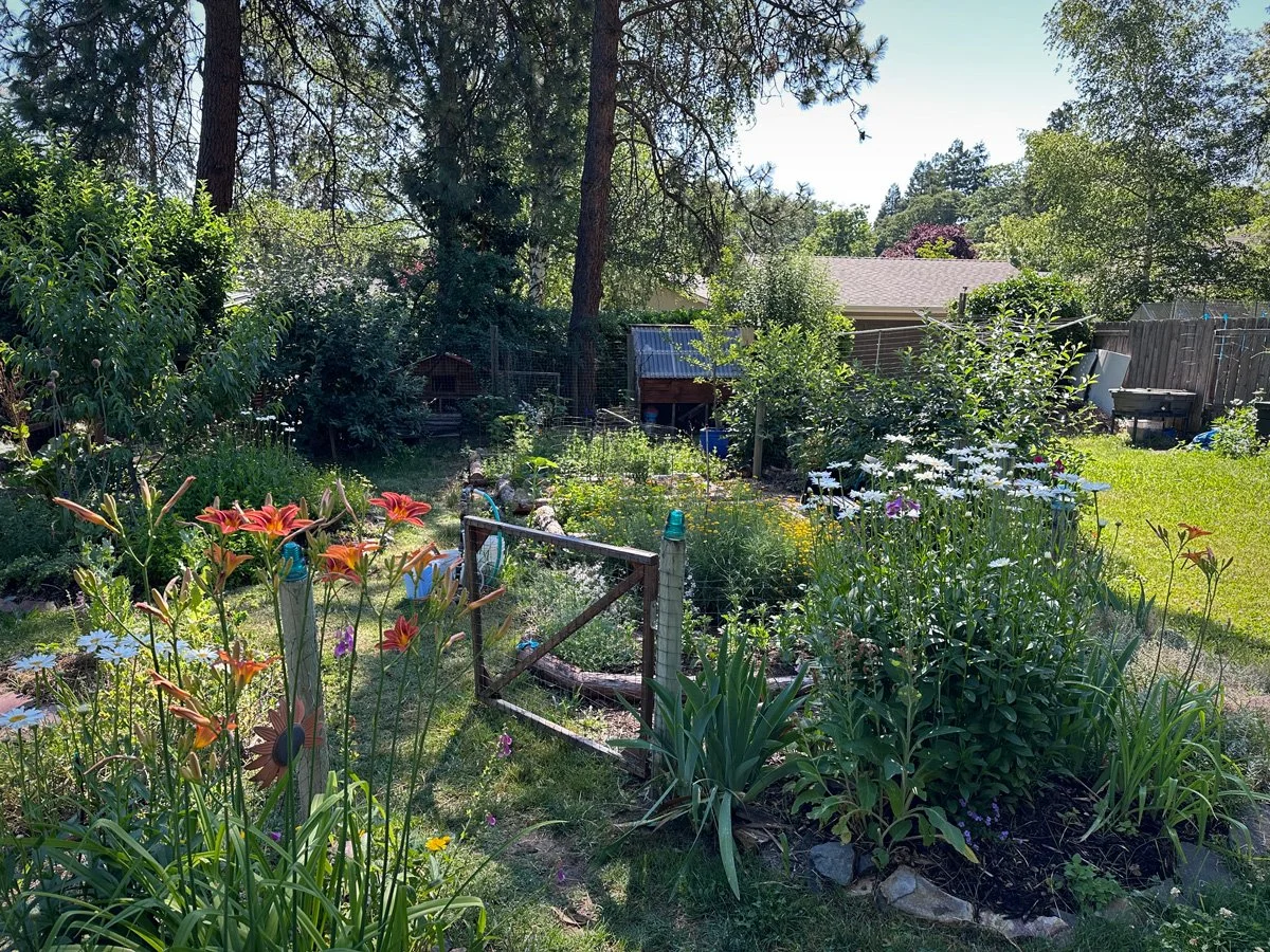 garden-layout-sunnyjlindley.jpg