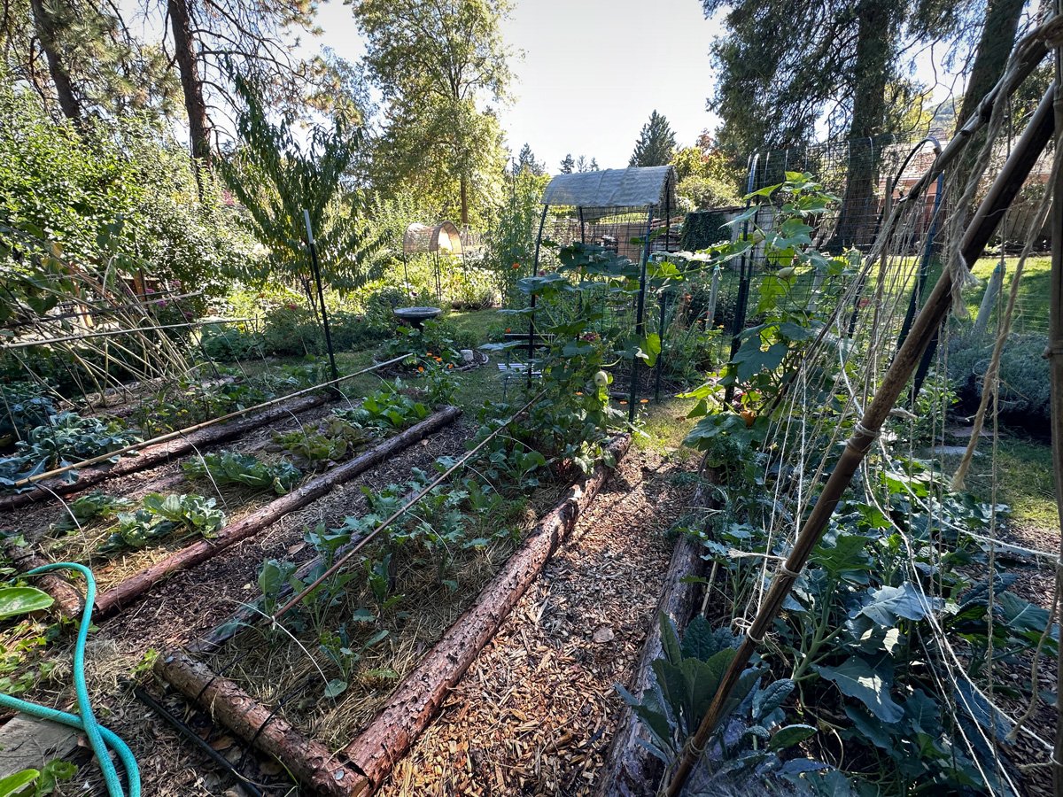 garden-arrangements-sunnyjlindley.jpg