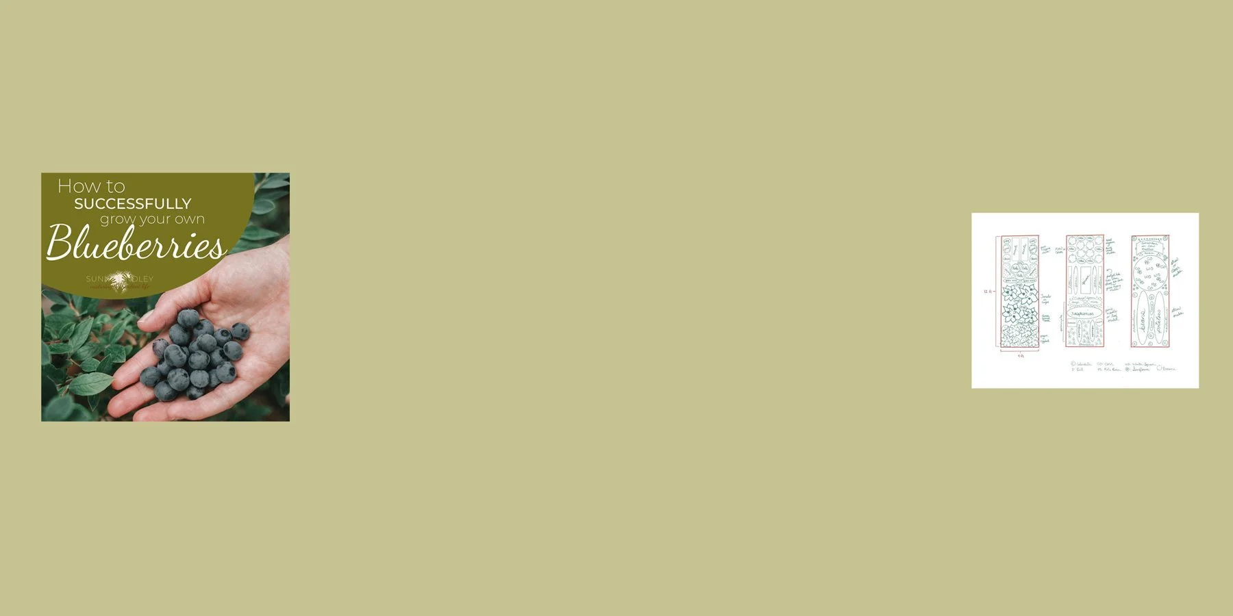 growing-blueberries-freebie.jpg