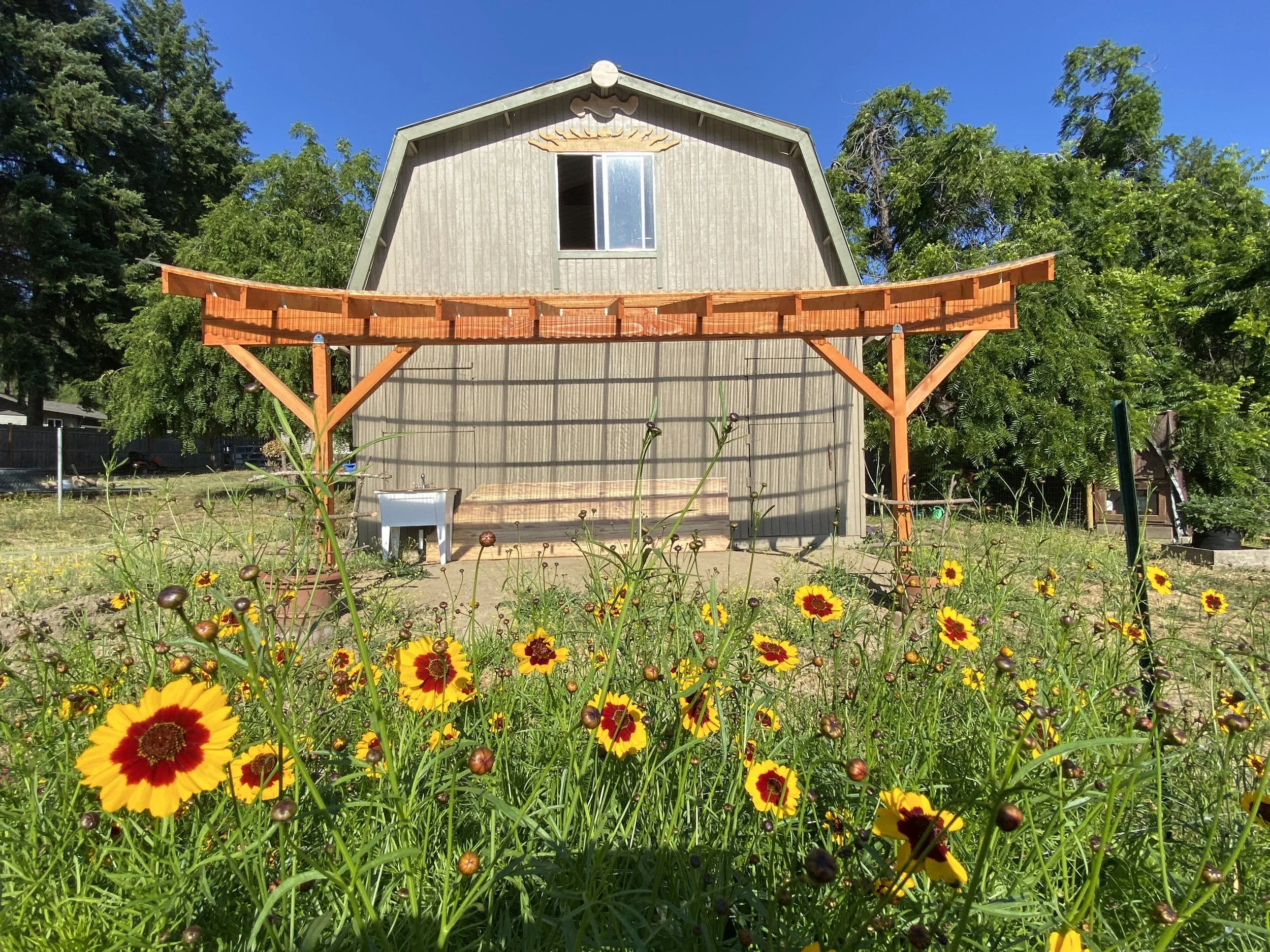 Power-with Joanna Macy &amp; the Emergence of Sunny Joy Farm