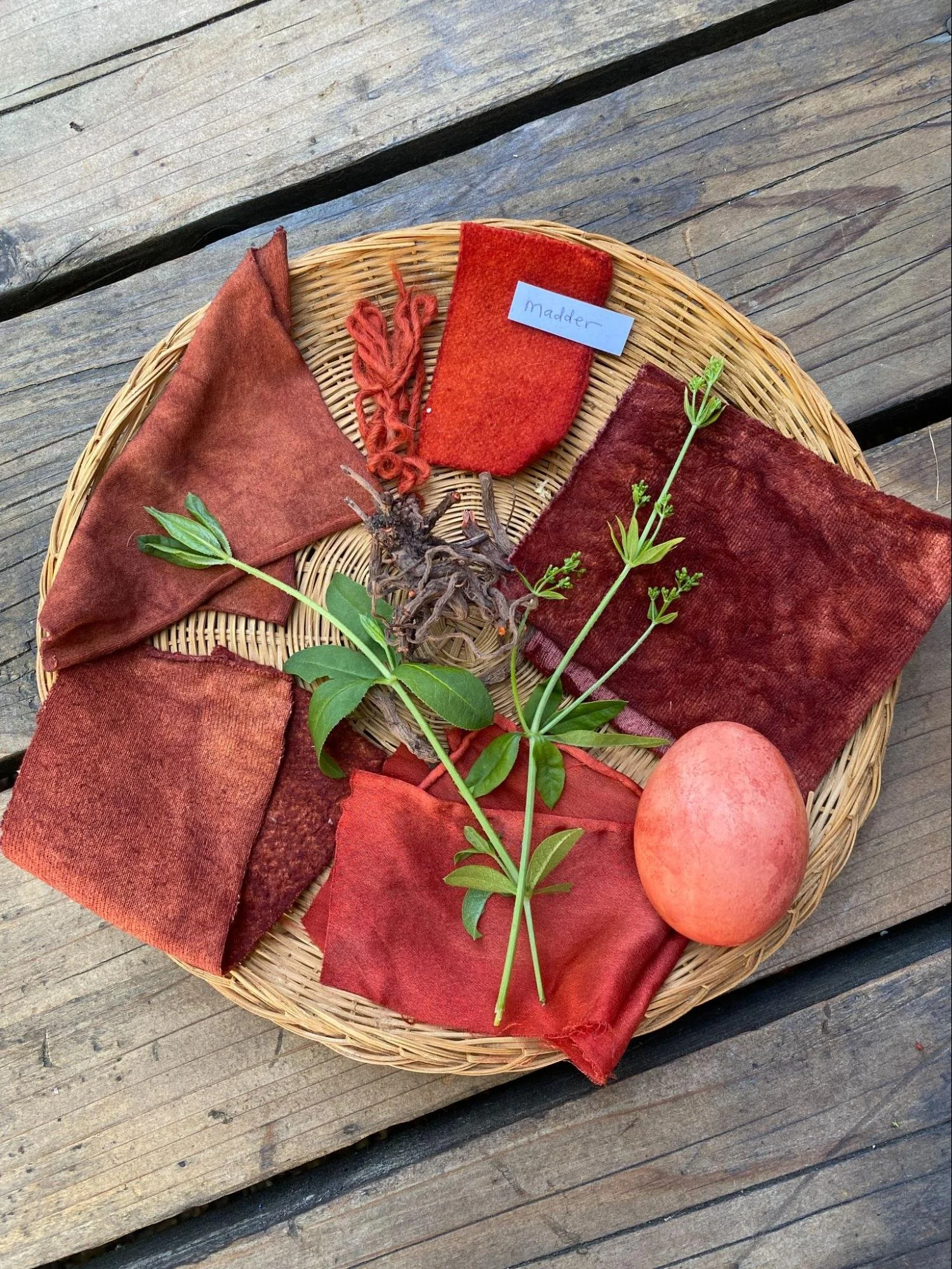 Heart of Madder Natural Dye Retreat (Date TBD)