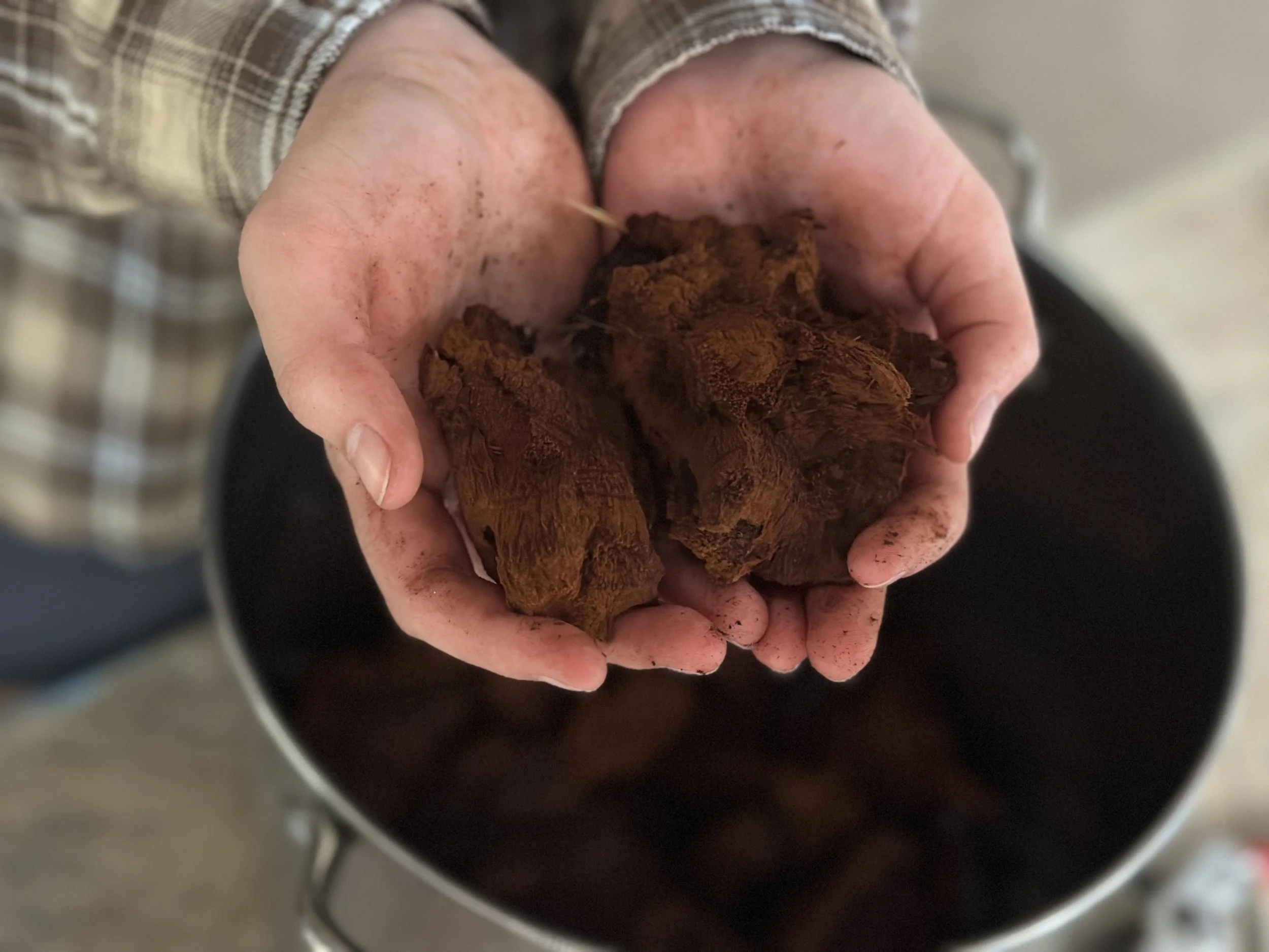 Mushroom Dyeing Class - Oct 12