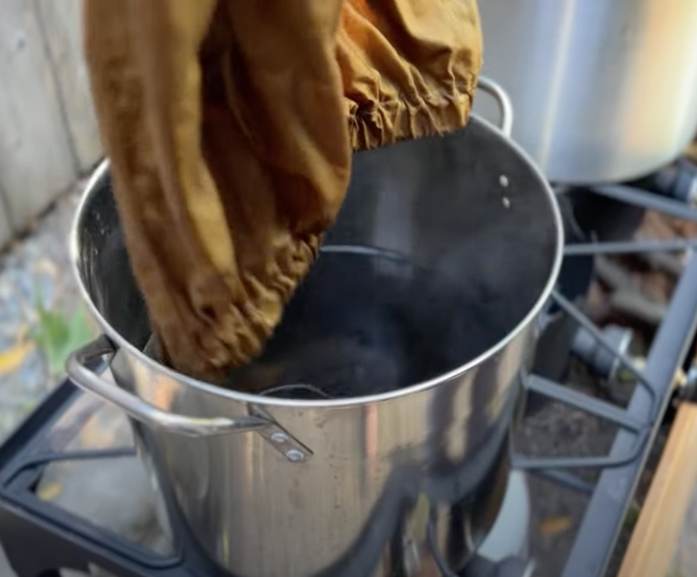 mushroom dyeing 2.png