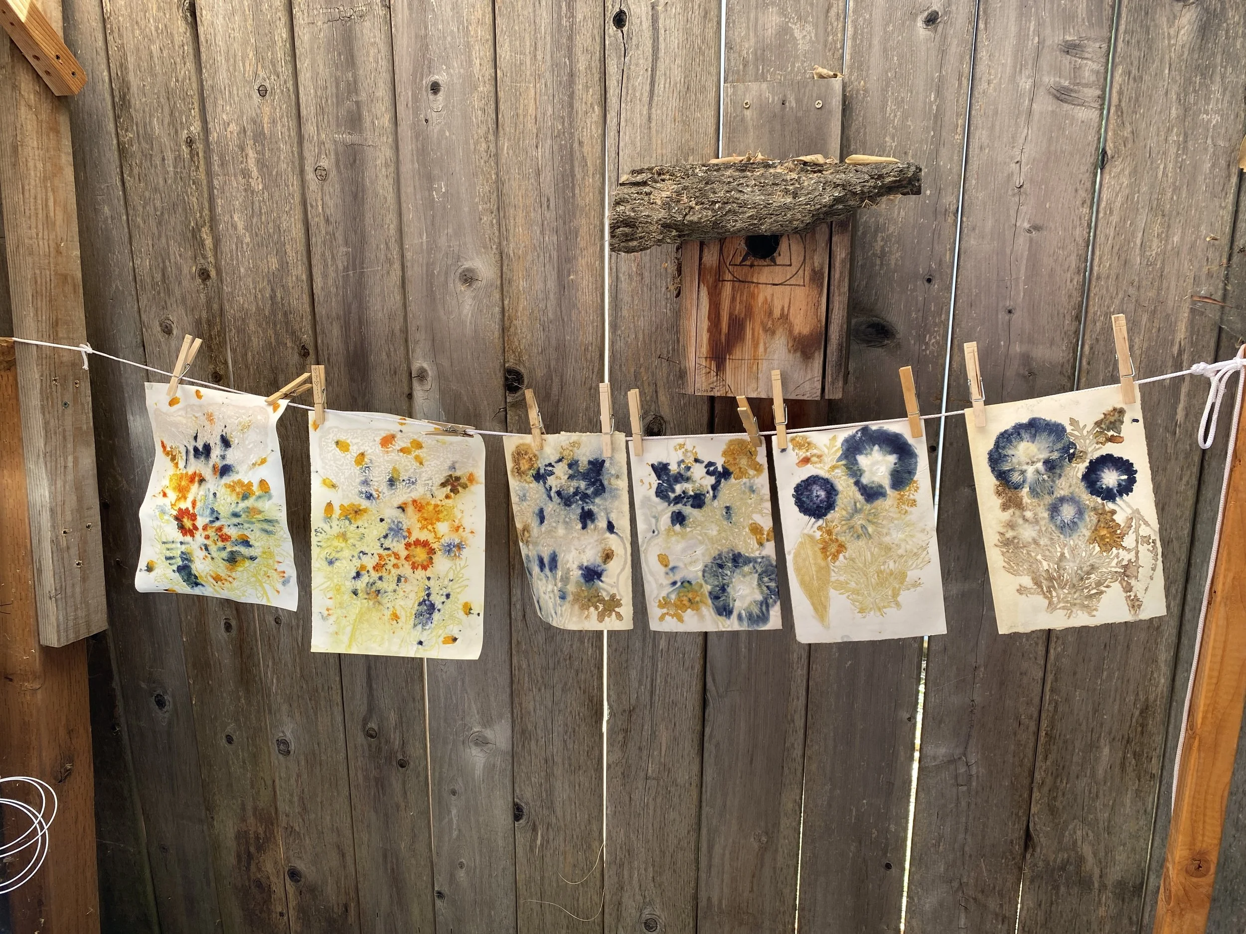 Eco-Print on Paper -May 11 or July 6