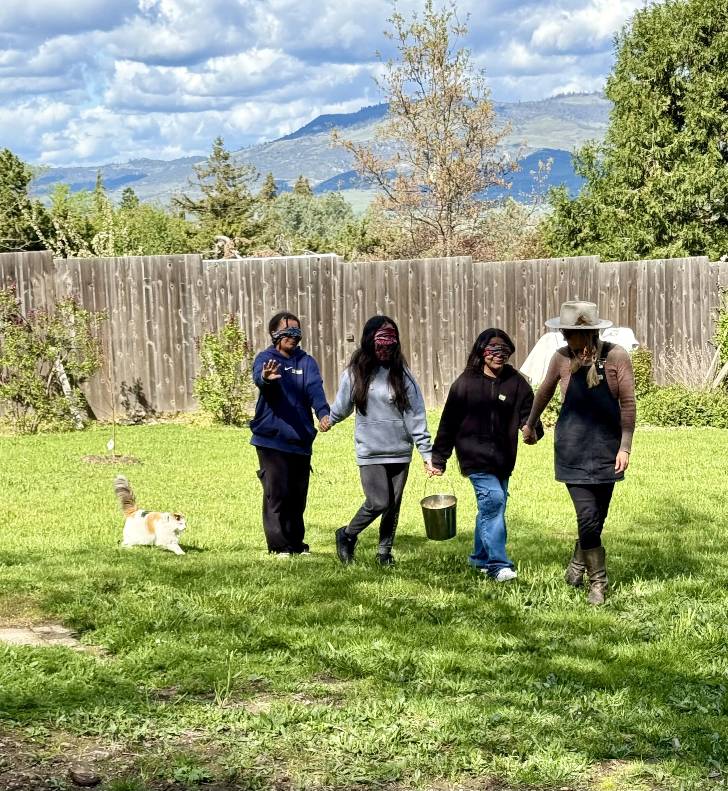 People holding hands and walking in a grassy yard with a wooden fence, trees, and mountains in the background under a partly cloudy sky.