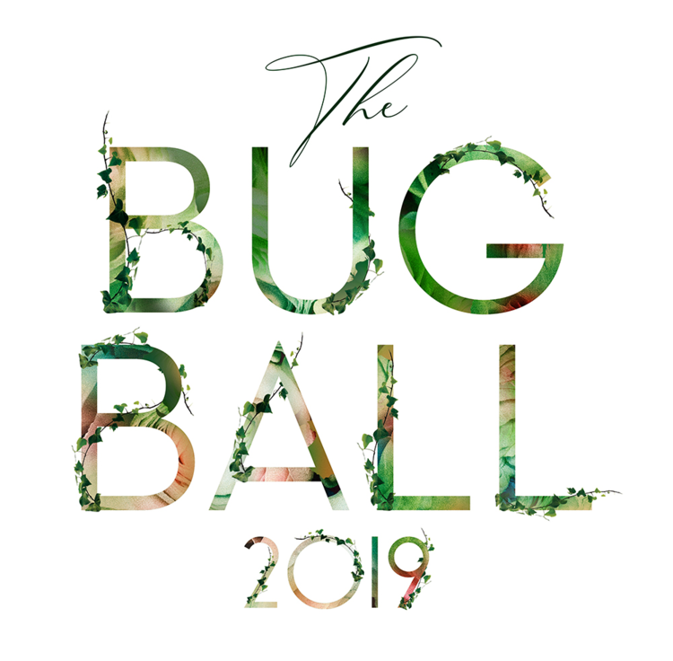 Bug Ball 2019