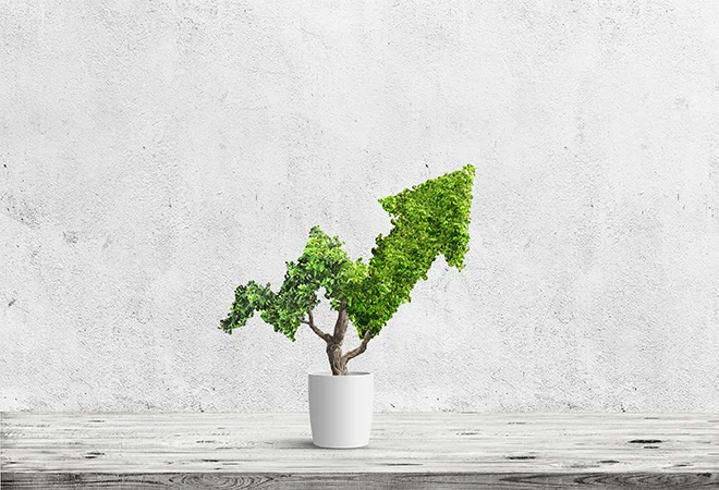 What small businesses need to know about scaling and growth