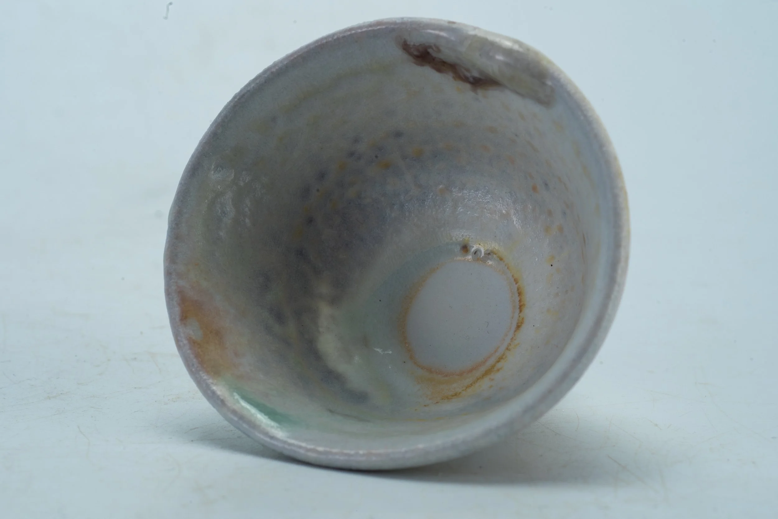 DSC00784.jpg