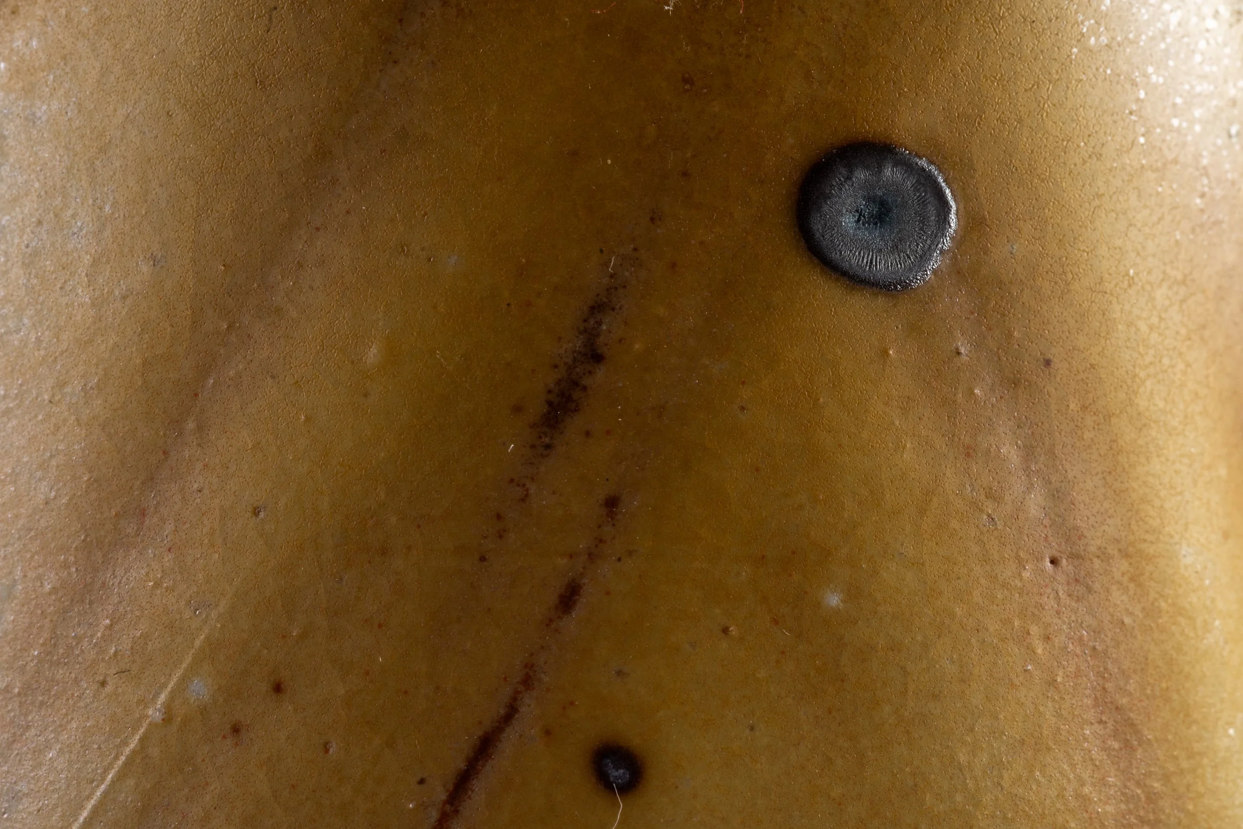 DSC00861.jpg