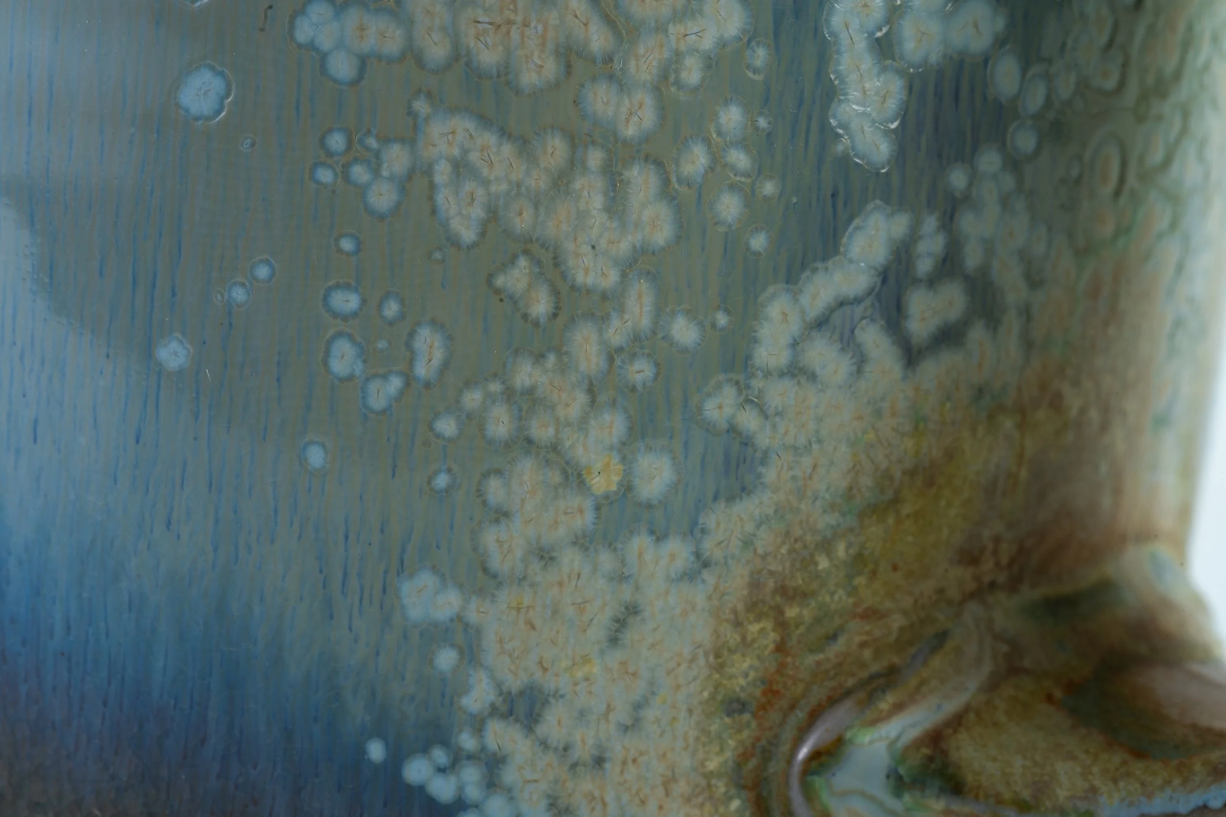 DSC00919.jpg