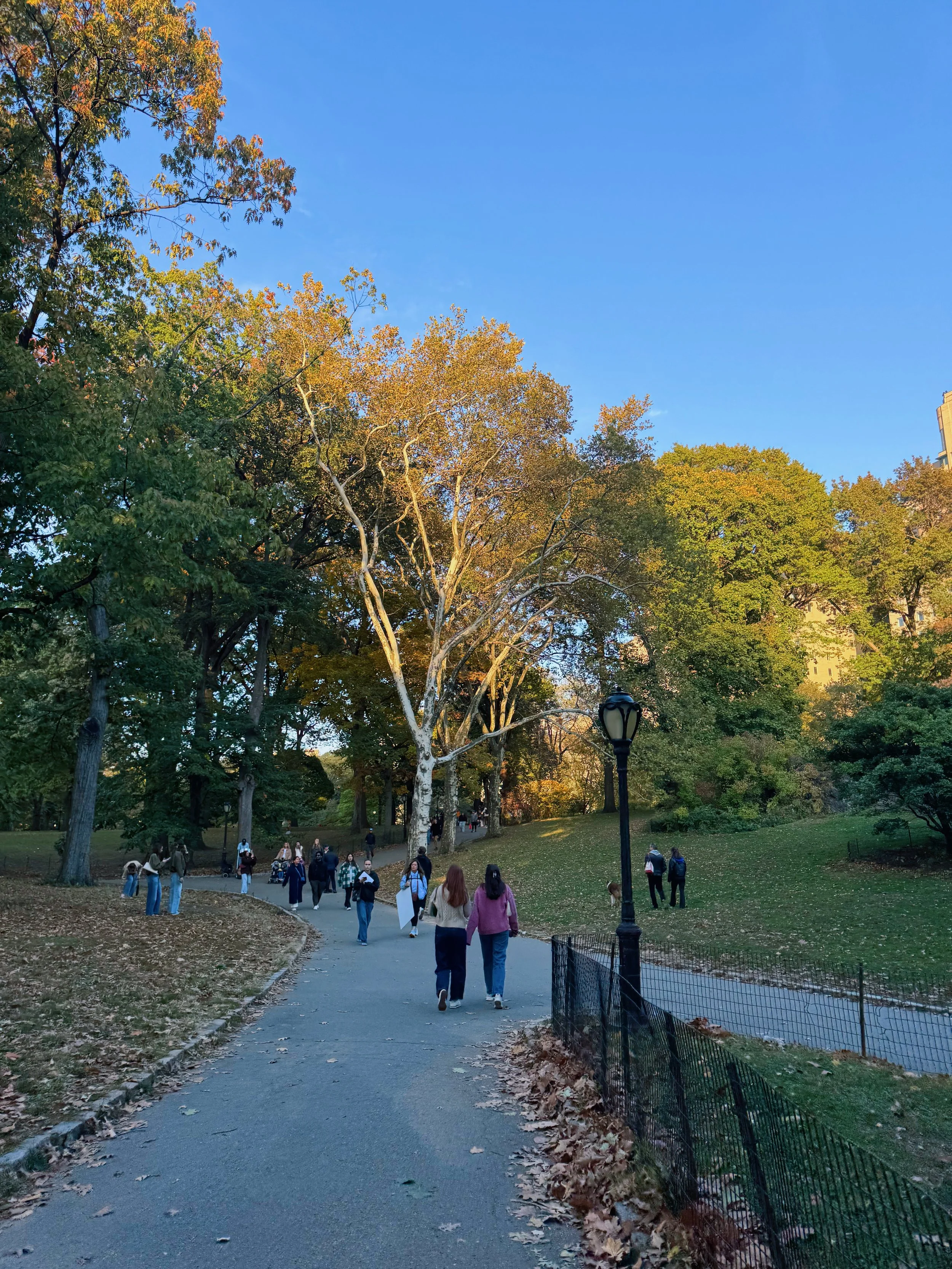 Go On Now, Peel Your Clementine