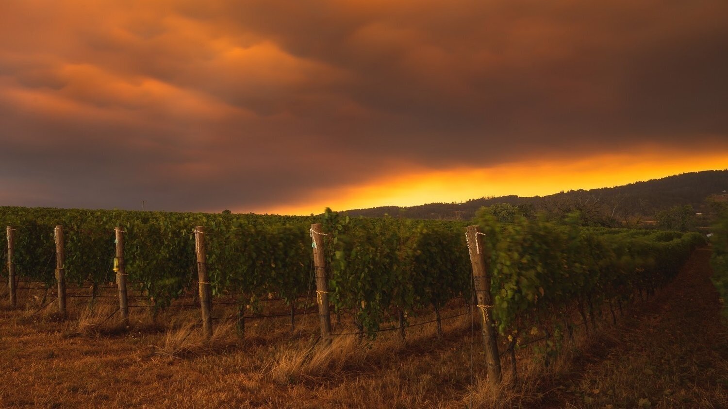 Farmworkers Face Wildfires