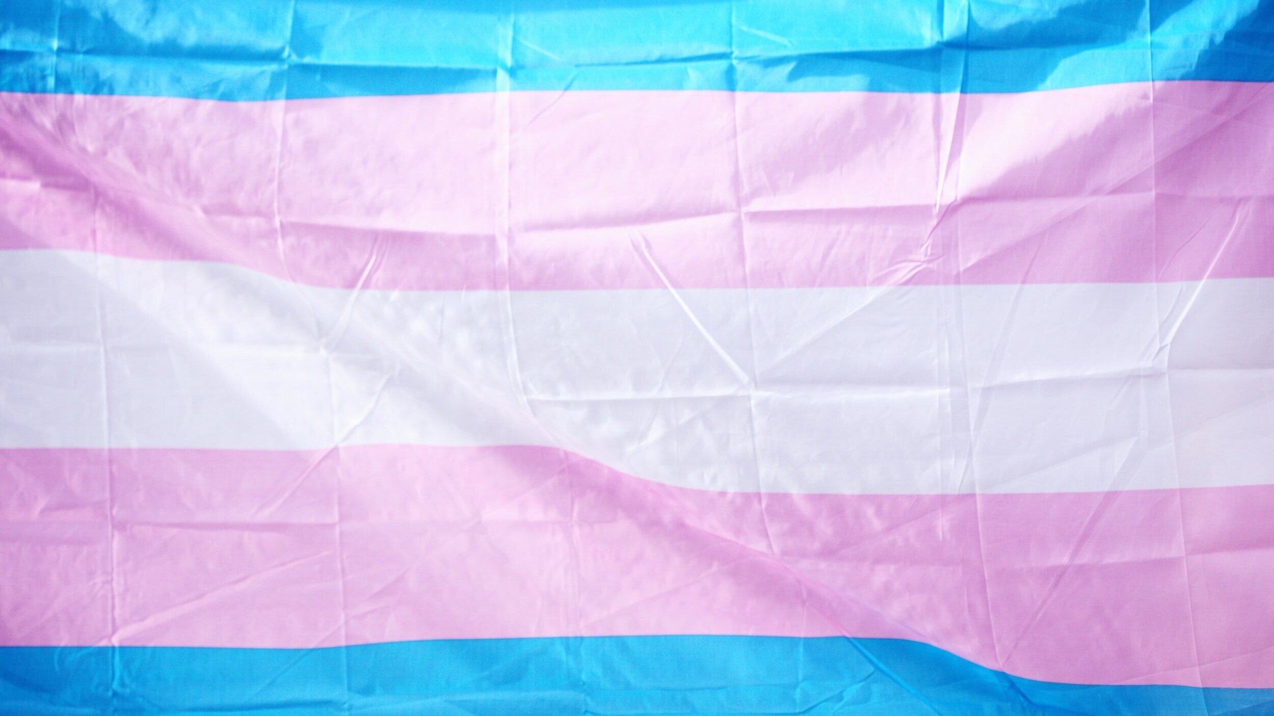 Celebrating with Pride