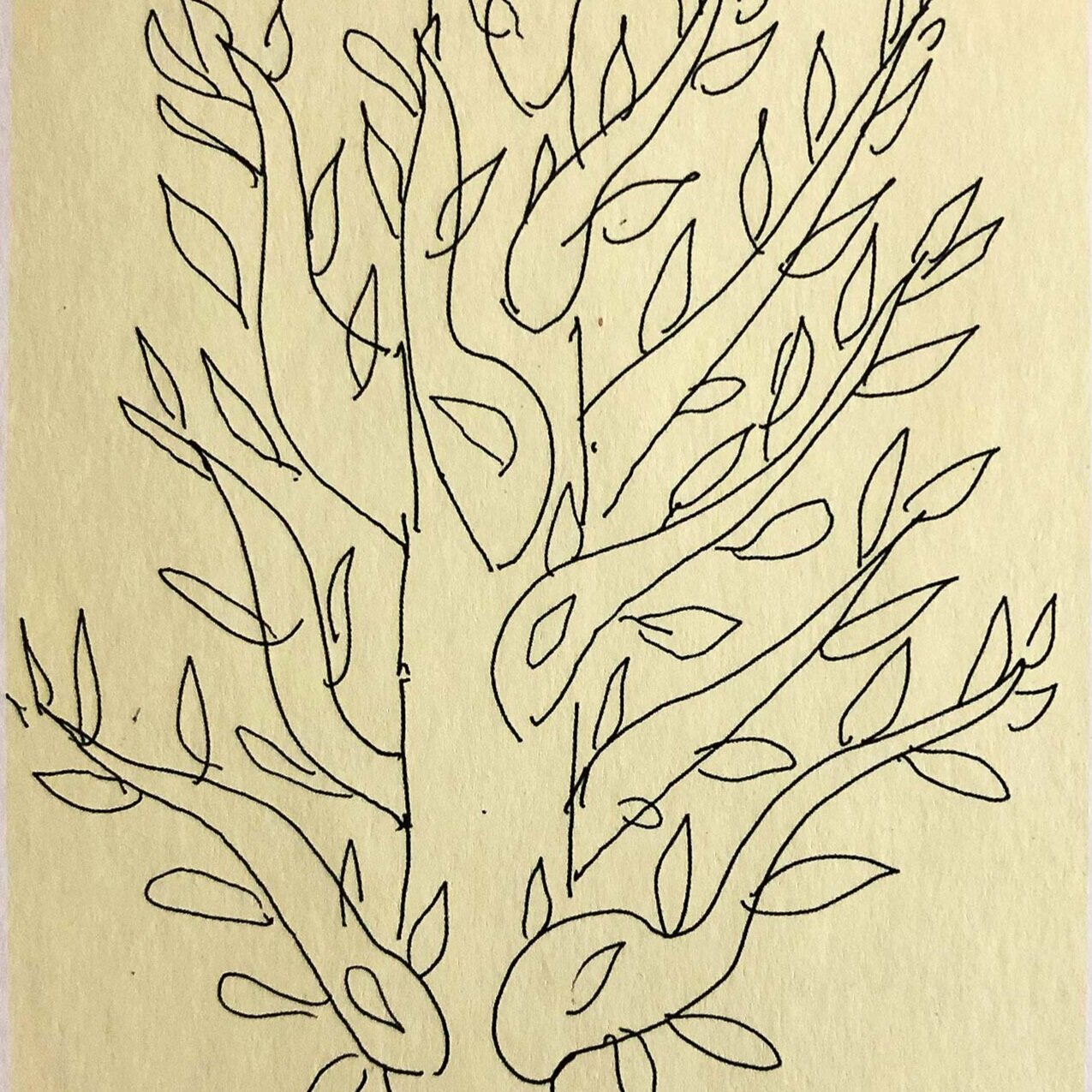 Matisse on Drawing Trees