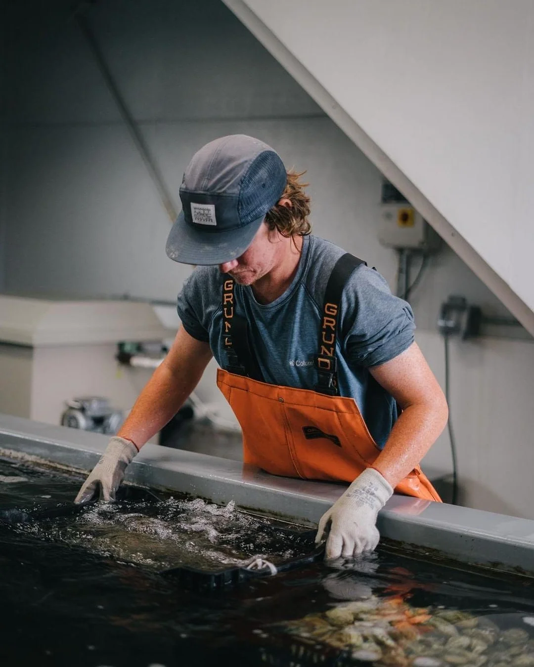 Morro Bay Oyster Co.