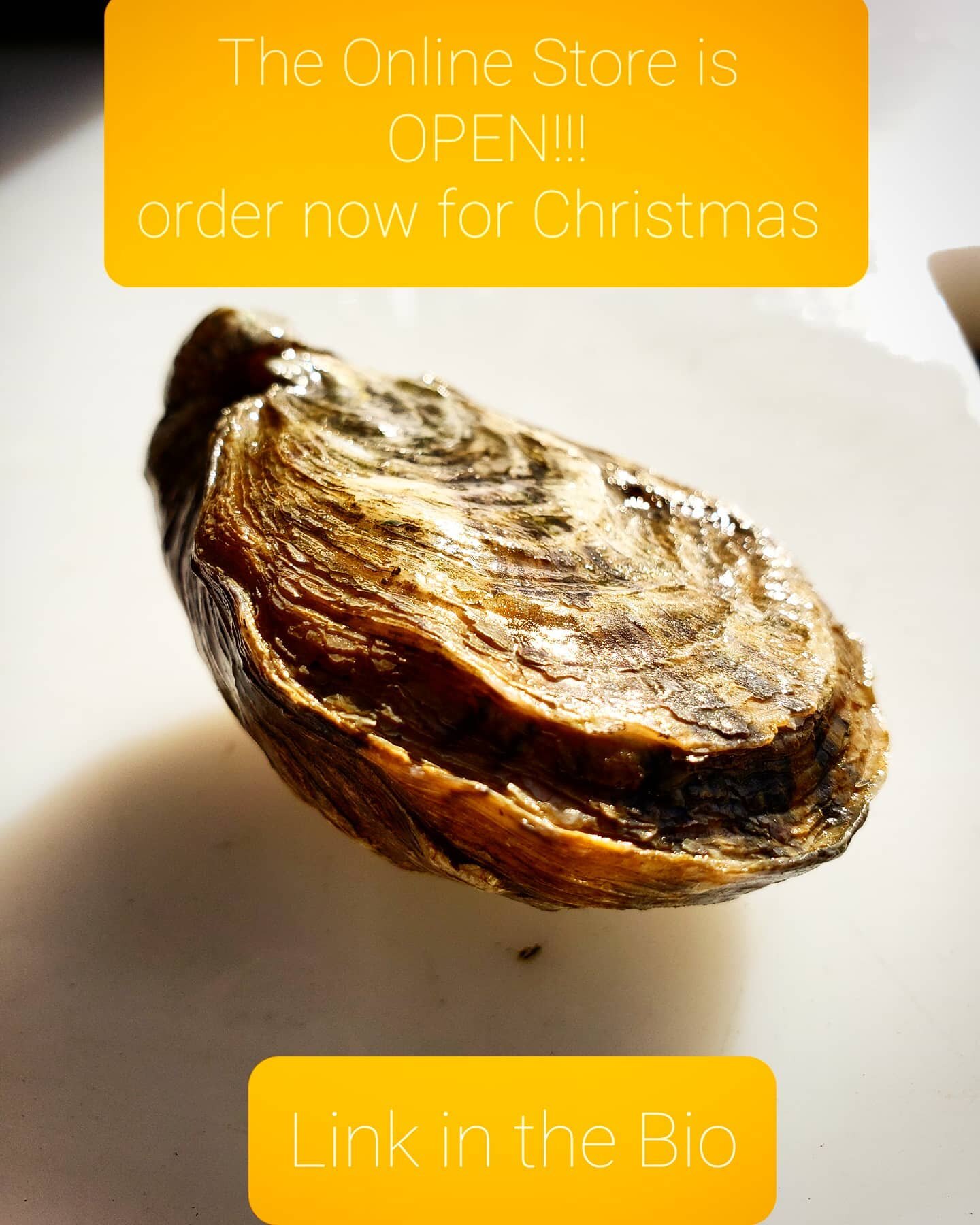 The Online Store is OPEN and we can ship in time for Christmas anywhere in the U.S.! Buy oysters, caviar @californiacaviar , knives, gloves,  hot sauce, citriburst limes @shanleyfarms 
.
.
.
.
.
#morrobayoystercompany #pacifgoldoysters #online #small