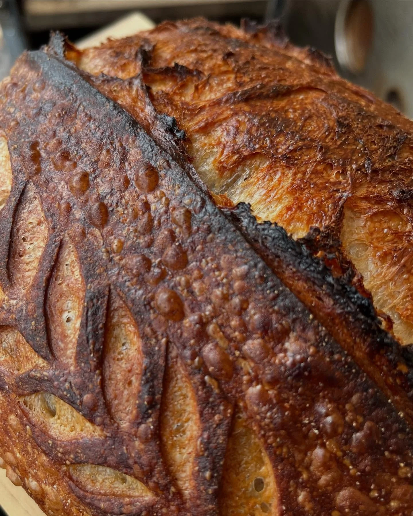 Loving the colour and blisters on these loaves. Lots of steam and a few more minutes on the bake 👌
.
.
.
#crust #bread #sourdough #realbread #baking #naturallyleavened #malliard