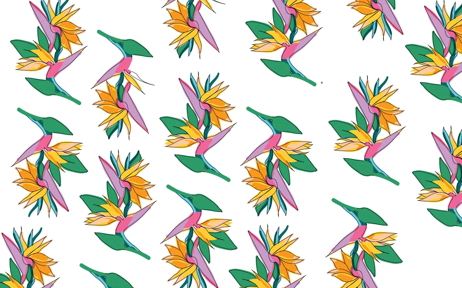 birds-of-paradise.jpg