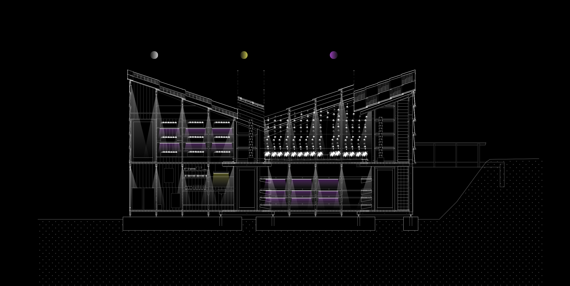 Screen Shot 2022-02-12 at 2.45.04 PM.png